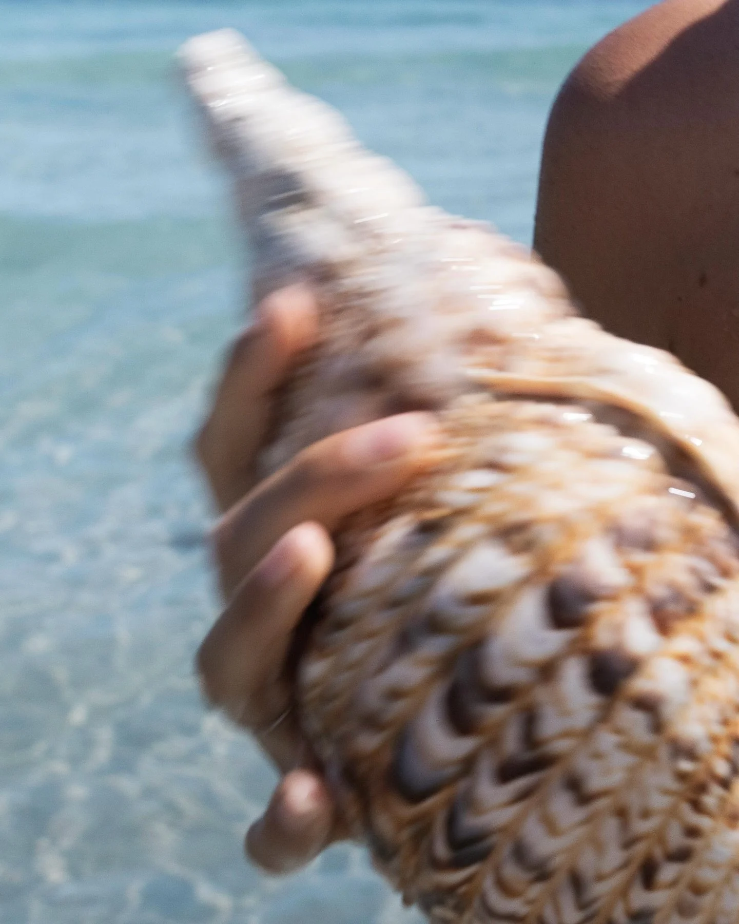 My tiger shark tooth necklaces have been restocked and are available on my website 🦈 

They are ocean proof and available in gold or silver!
Link in bio ✌🏽