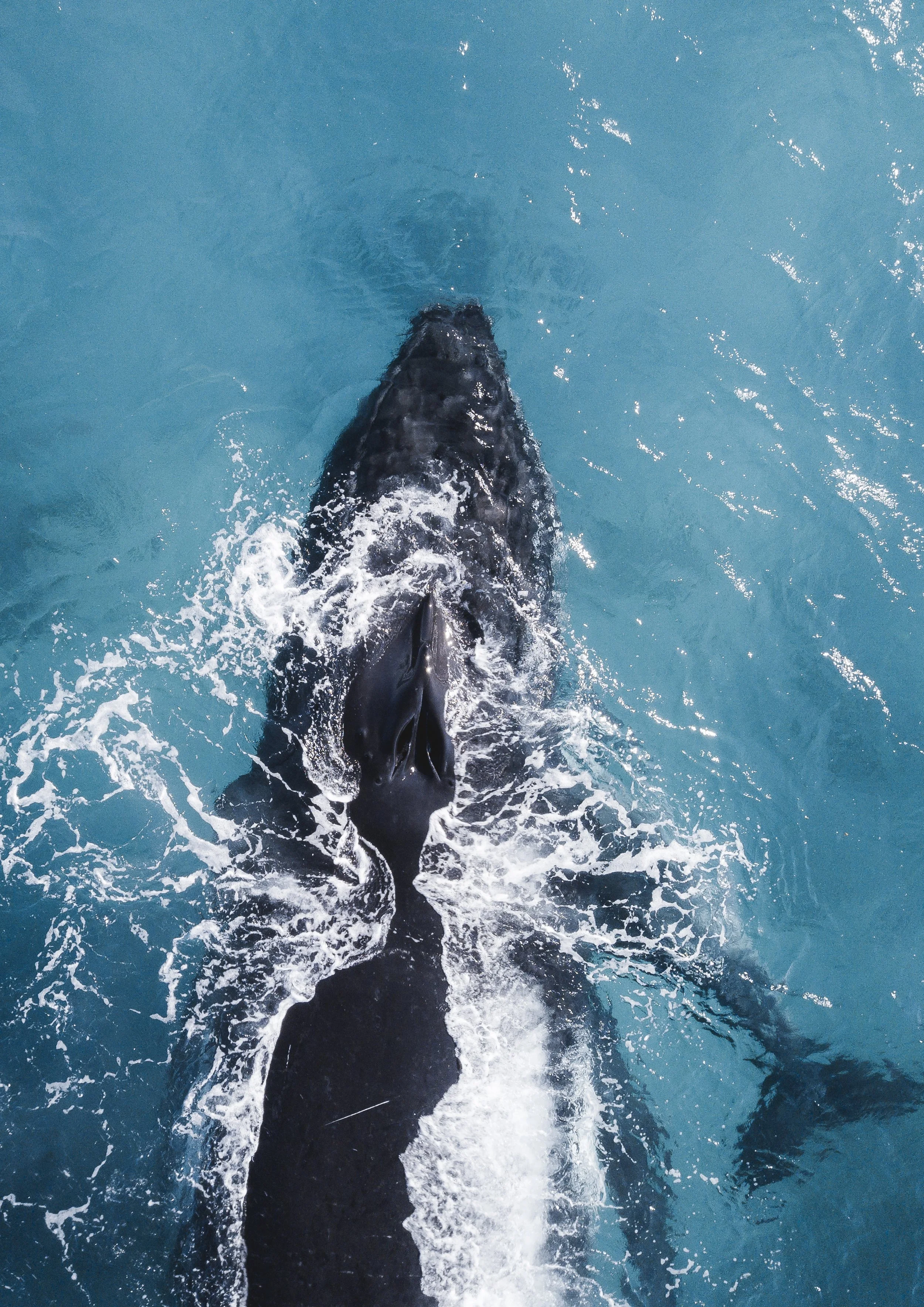 printdrone-0503 copy.jpg