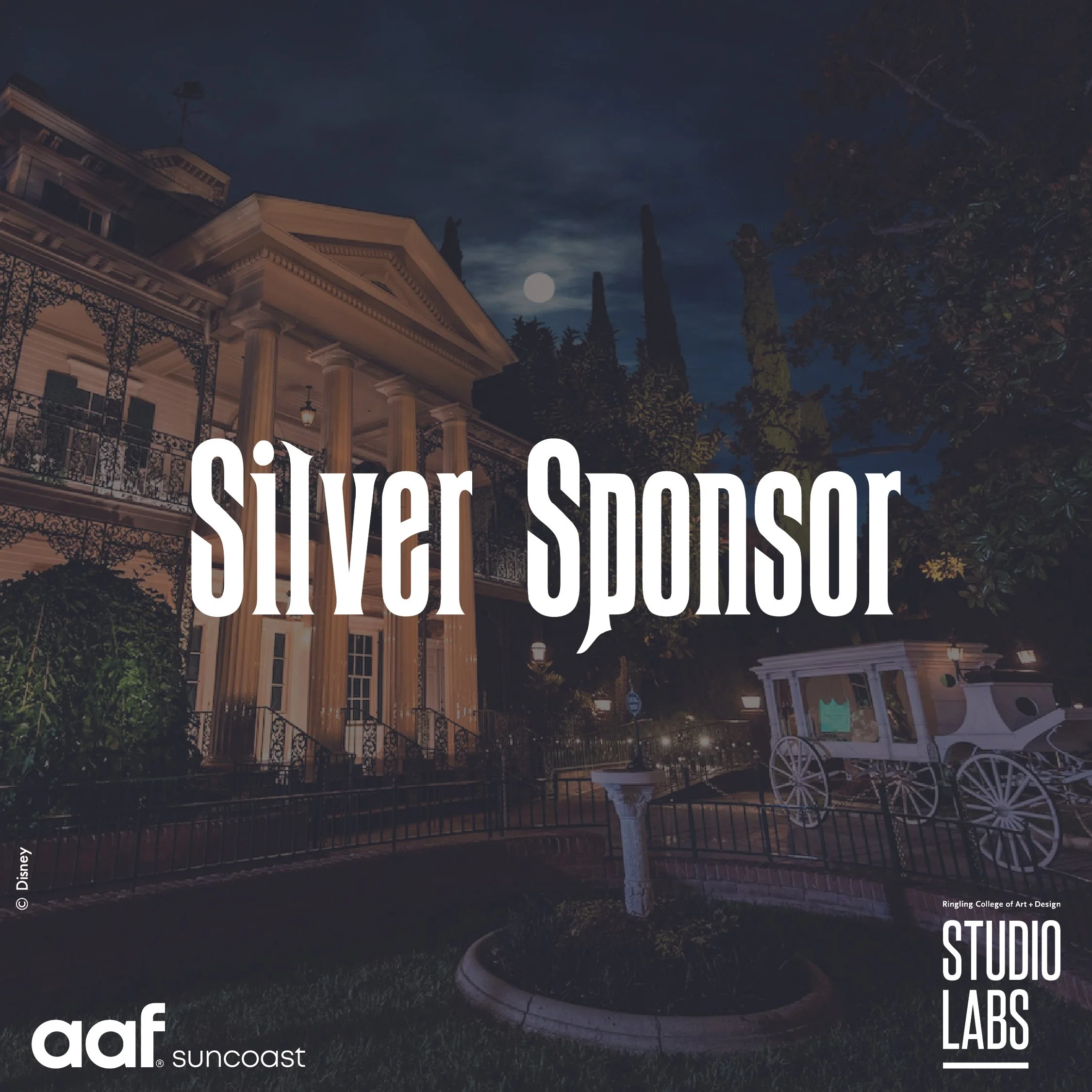 Silver Sponsor