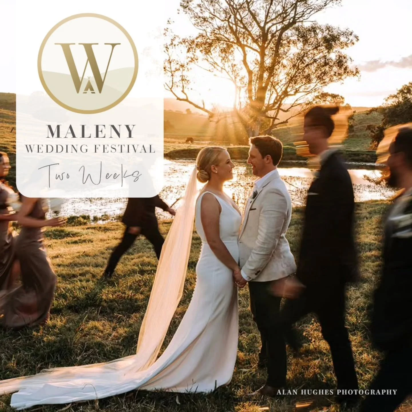 Fall in love with the Sunshine Coast Hinterland and plan your wedding!

TWO WEEKS TO GO!

Make sure you have booked your accommodation so you can make the most of our region.

Unlike any other expo event, this is your chance to explore our region's o