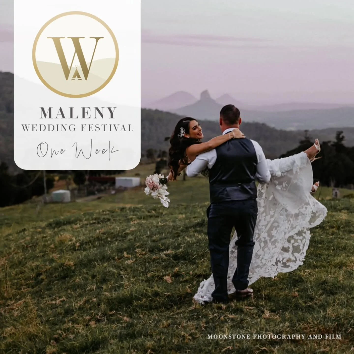 Meet me at the Maleny Summer Wedding Festival Trail!

ONLY 1 WEEK TO GO!

There&rsquo;s no overwhelm at the easy, relaxed wedding planning event of the year!

Come on up to the Sunshine Coast Hinterland and have fun finding your ideal wedding vendors