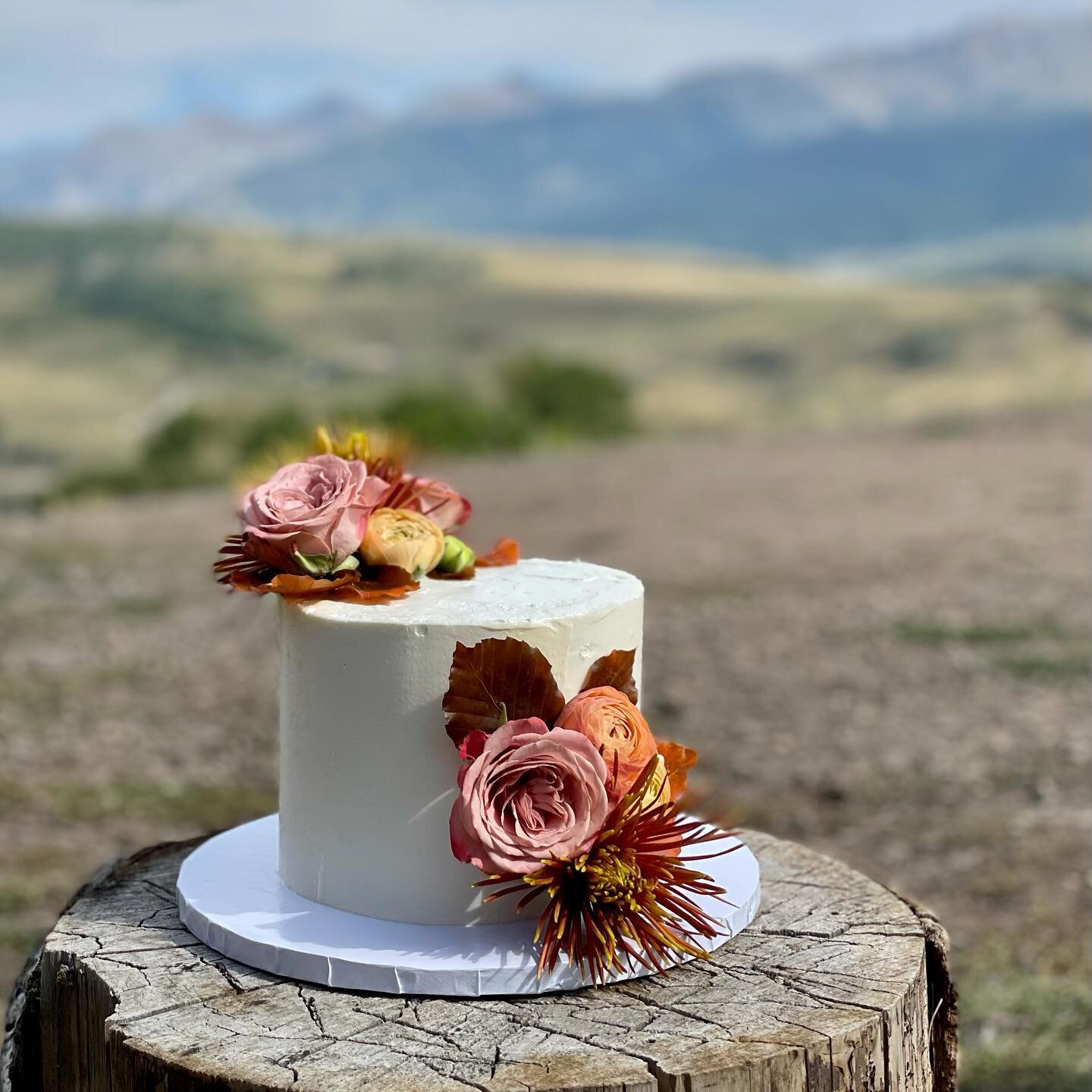 A sweet little cake for a lovely fall wedding
