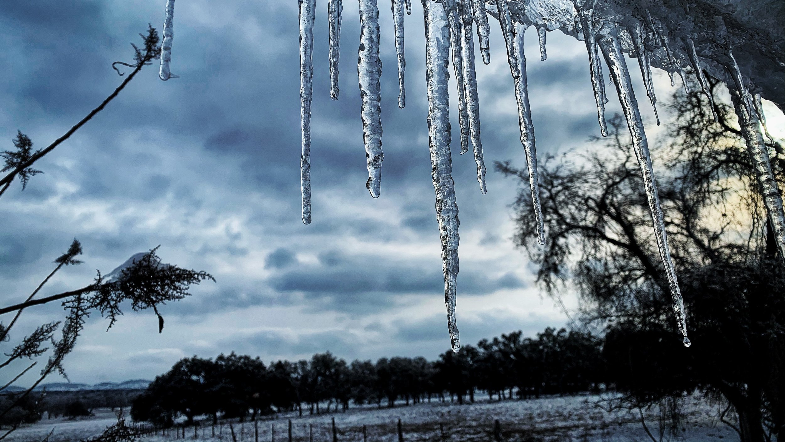 Cold Front -- the Caregiver's Tales (A Blog)