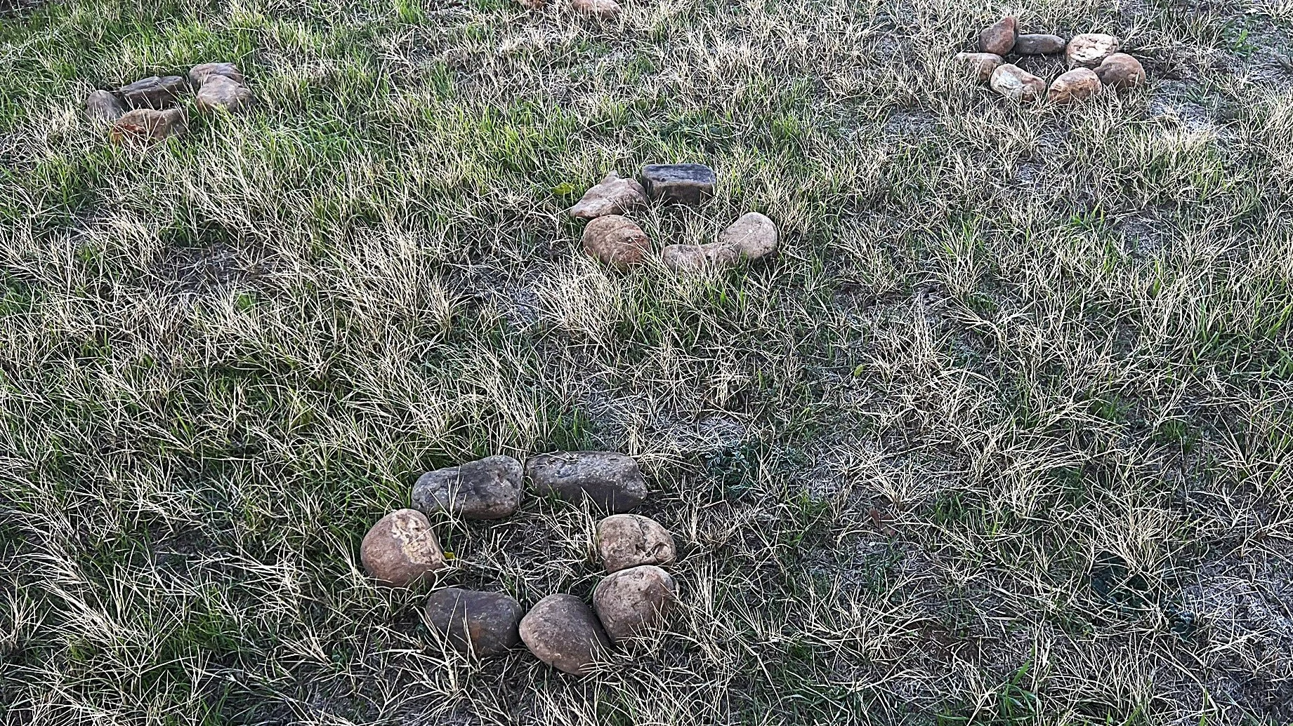 Brown stones set in circles among the the grass.