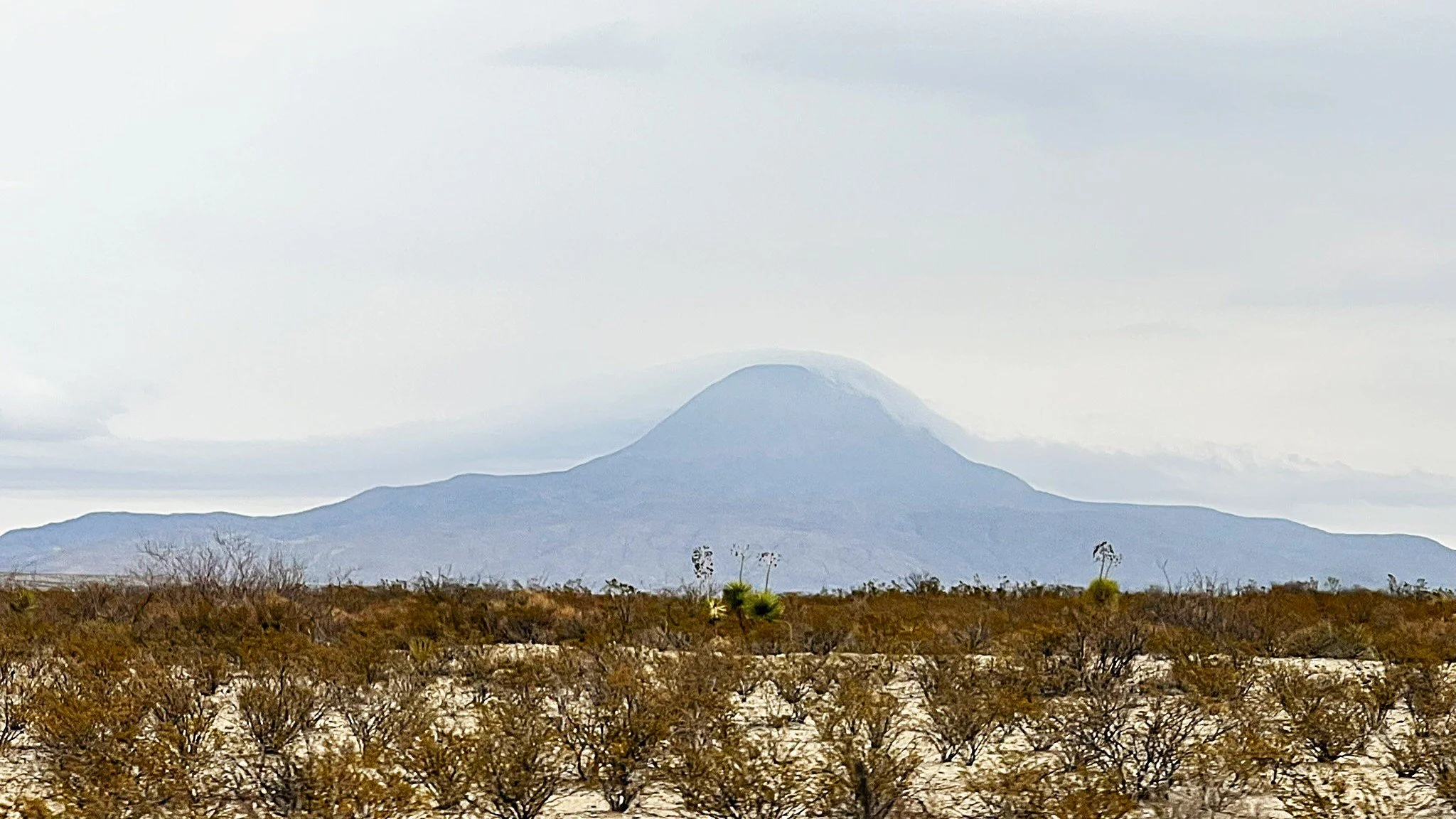 A Little Bit of Everything