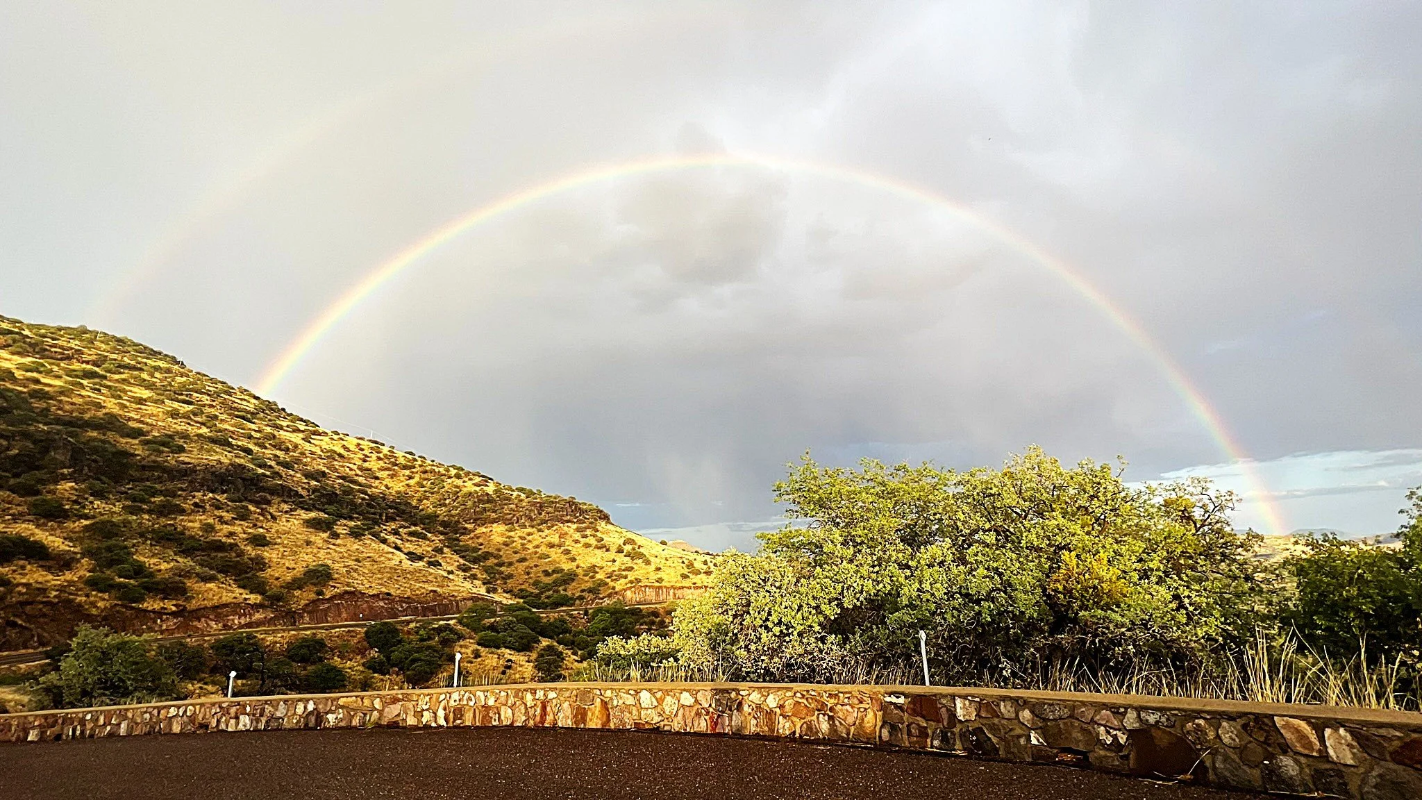 Rainbows, Candy and Cats