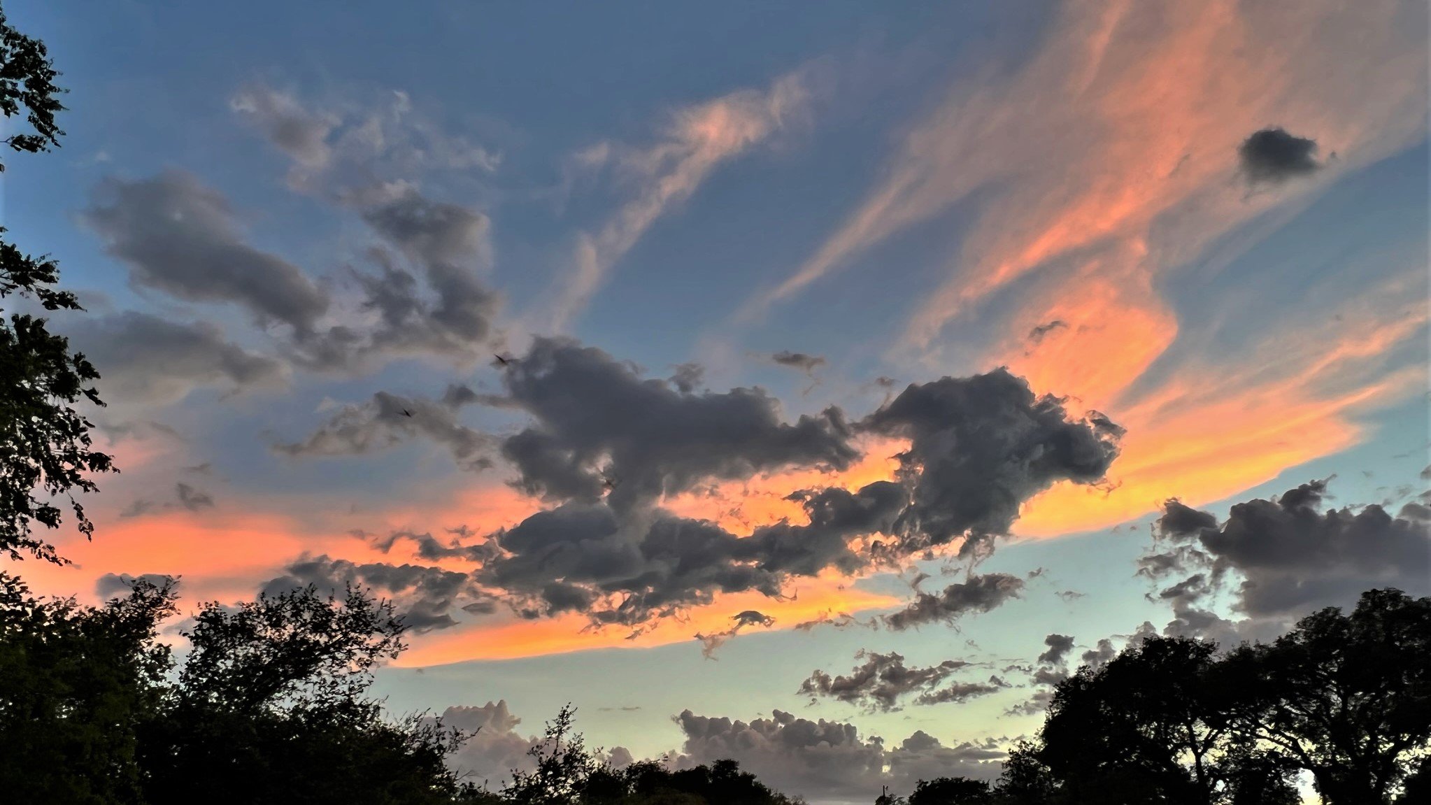 Late in the Day