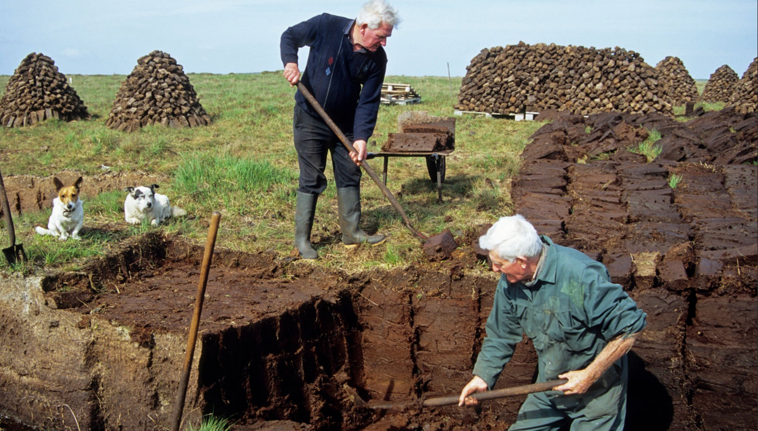 Viskija Meistarklase - Kūdrainie | Mākonī 