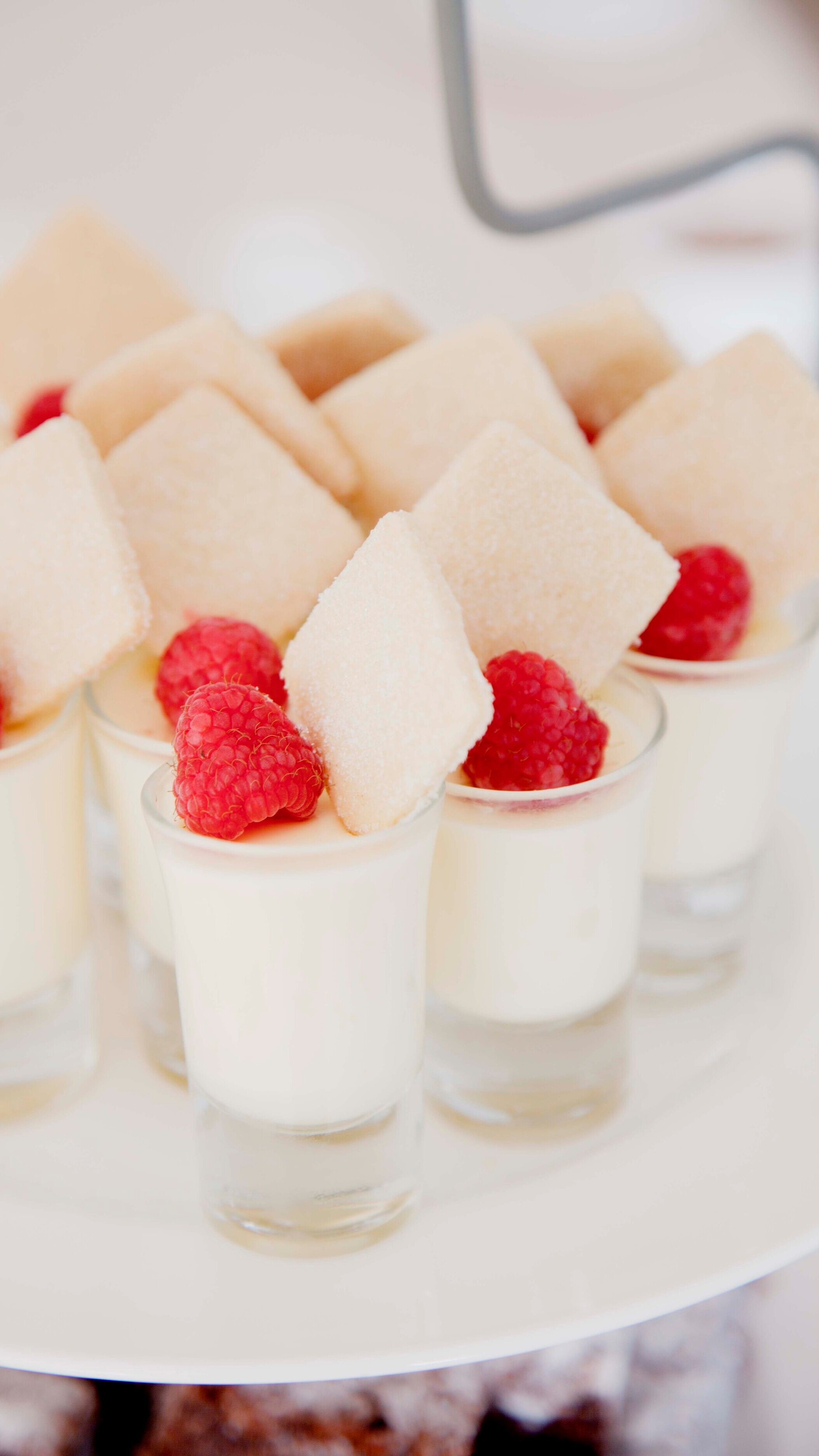 Baby+Pannacotta+with+Rasps+%26+Shortbread+Squares.jpg