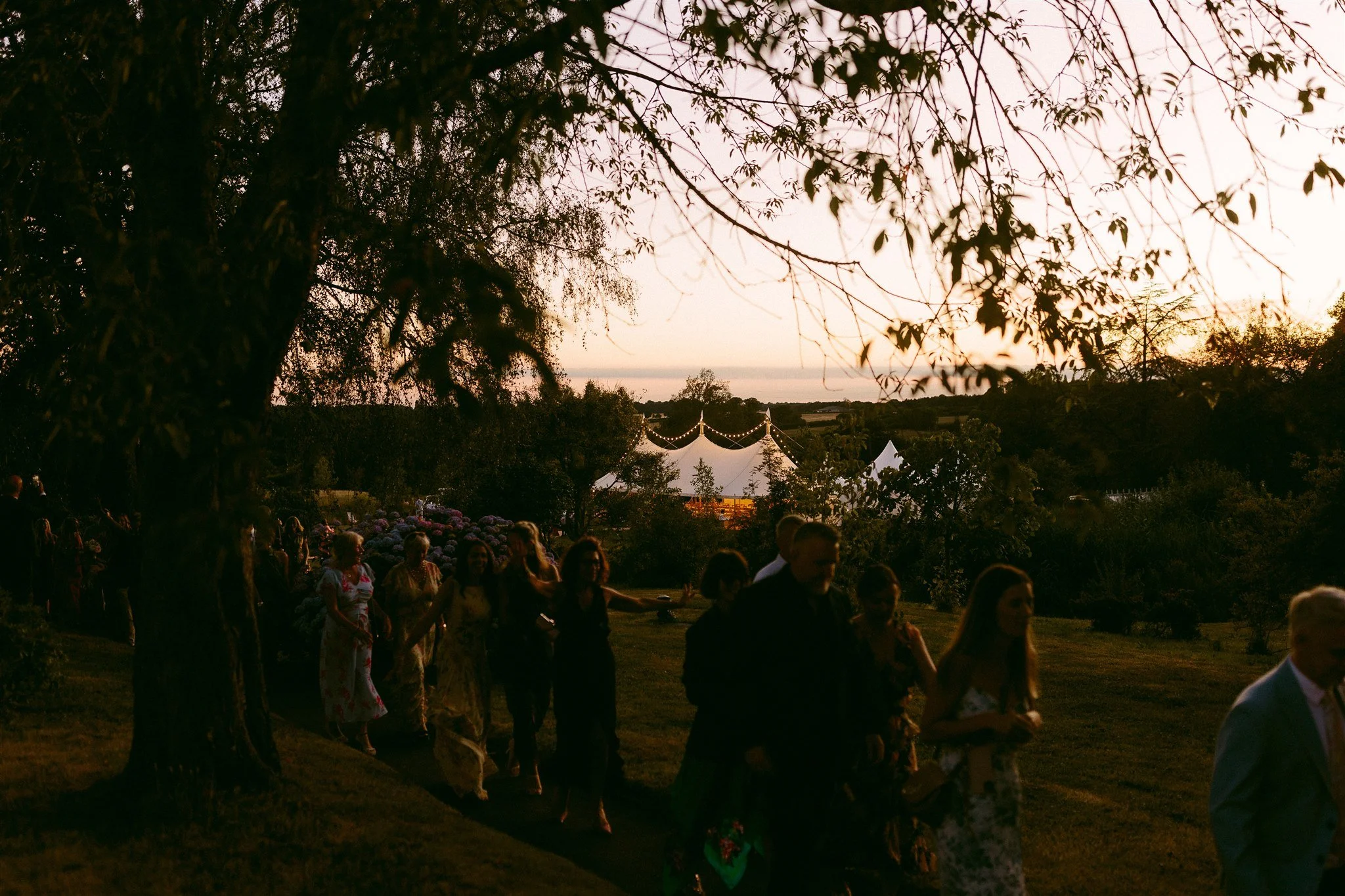 Wedding-550.jpg