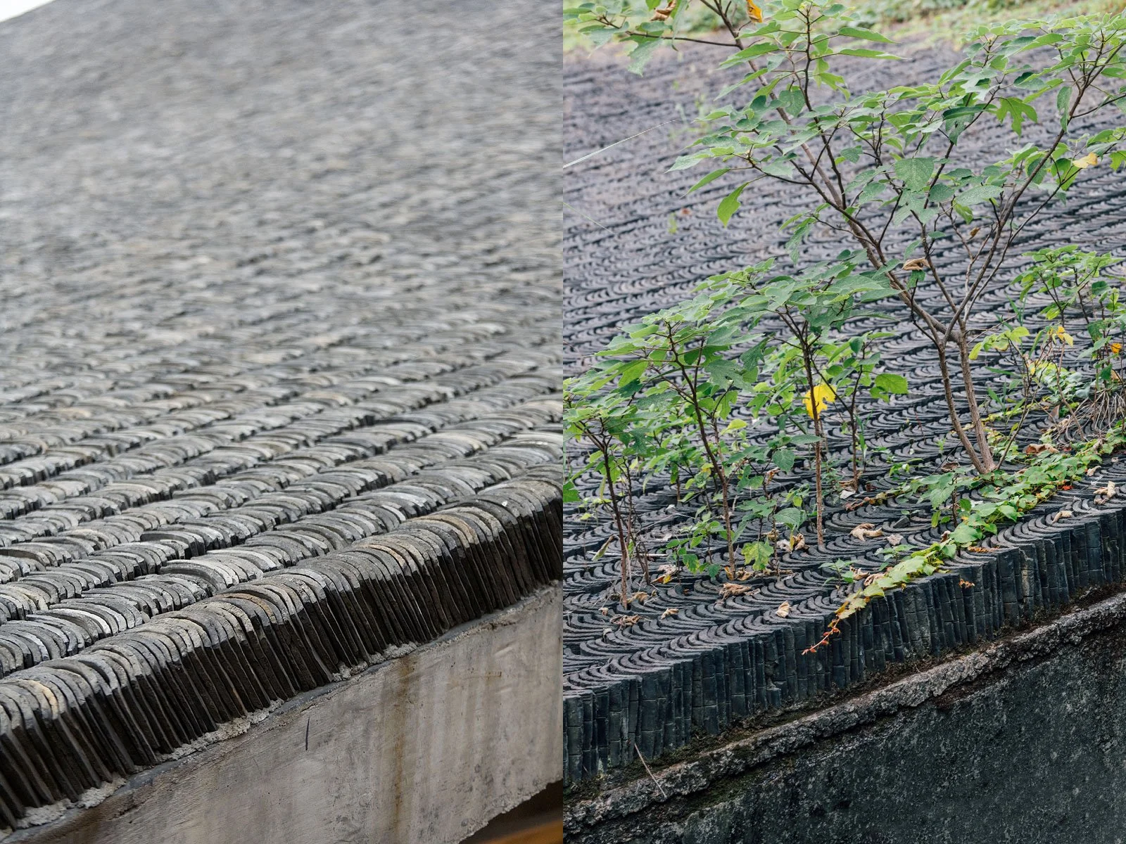 中國美術學院象山校區的校園空間，建築順應地形與時間尺度發展，呈現以長期使用為導向的效率思維。