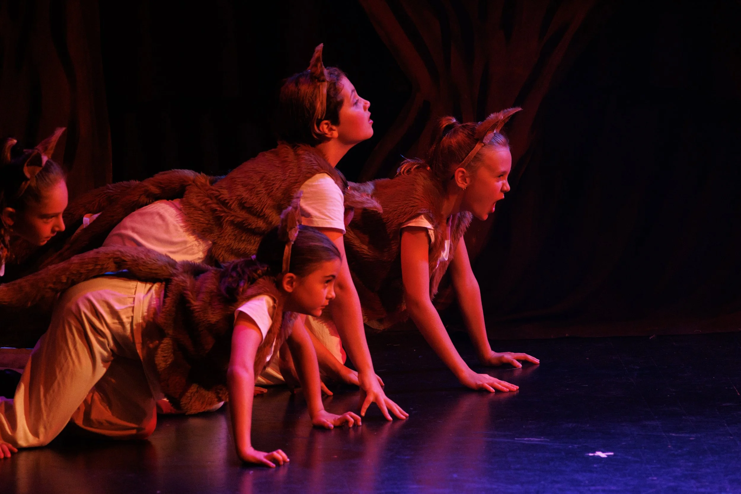 Copy of Dot and the Kangaroo-18.jpg