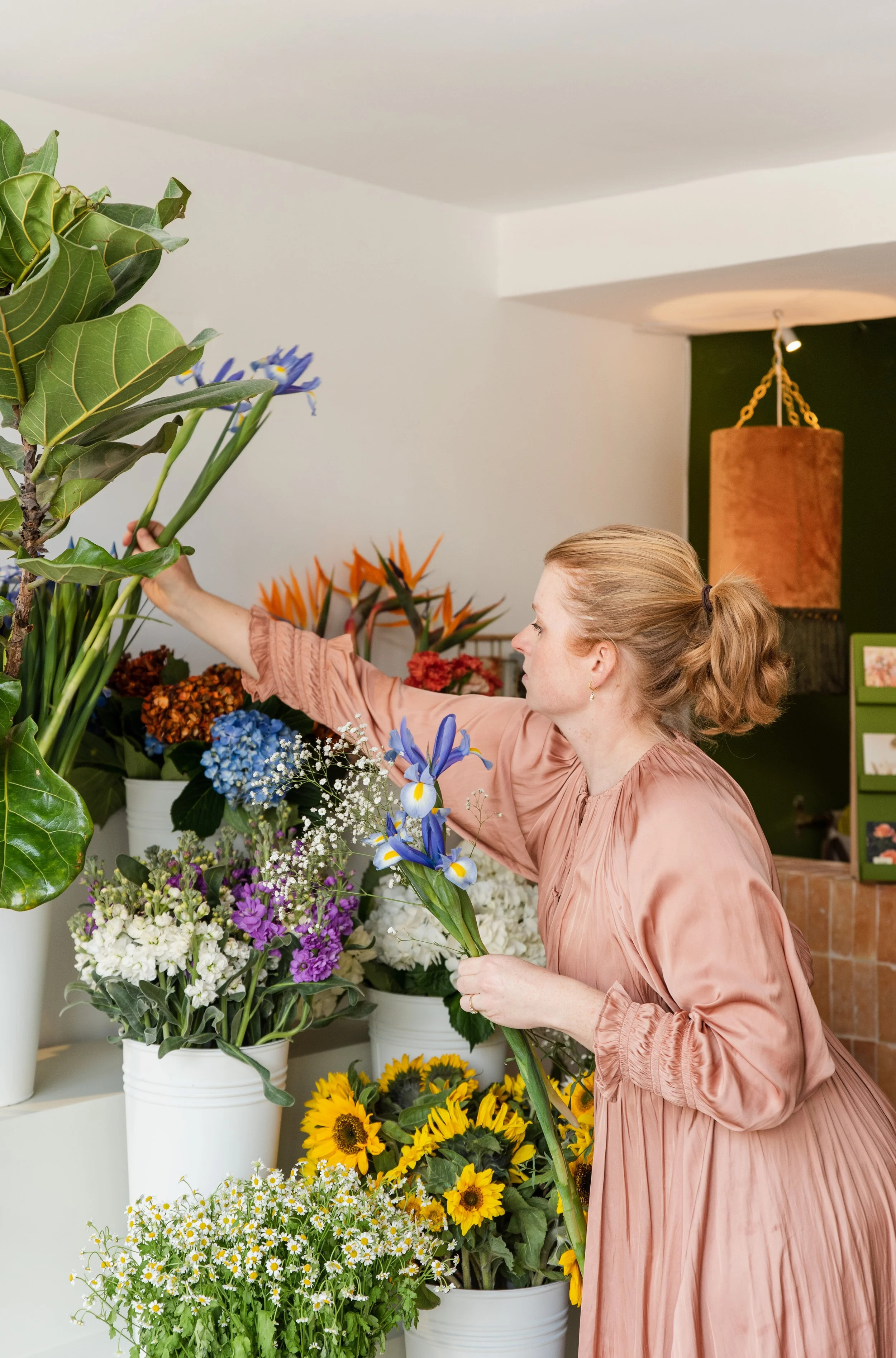 About The Bloom Room