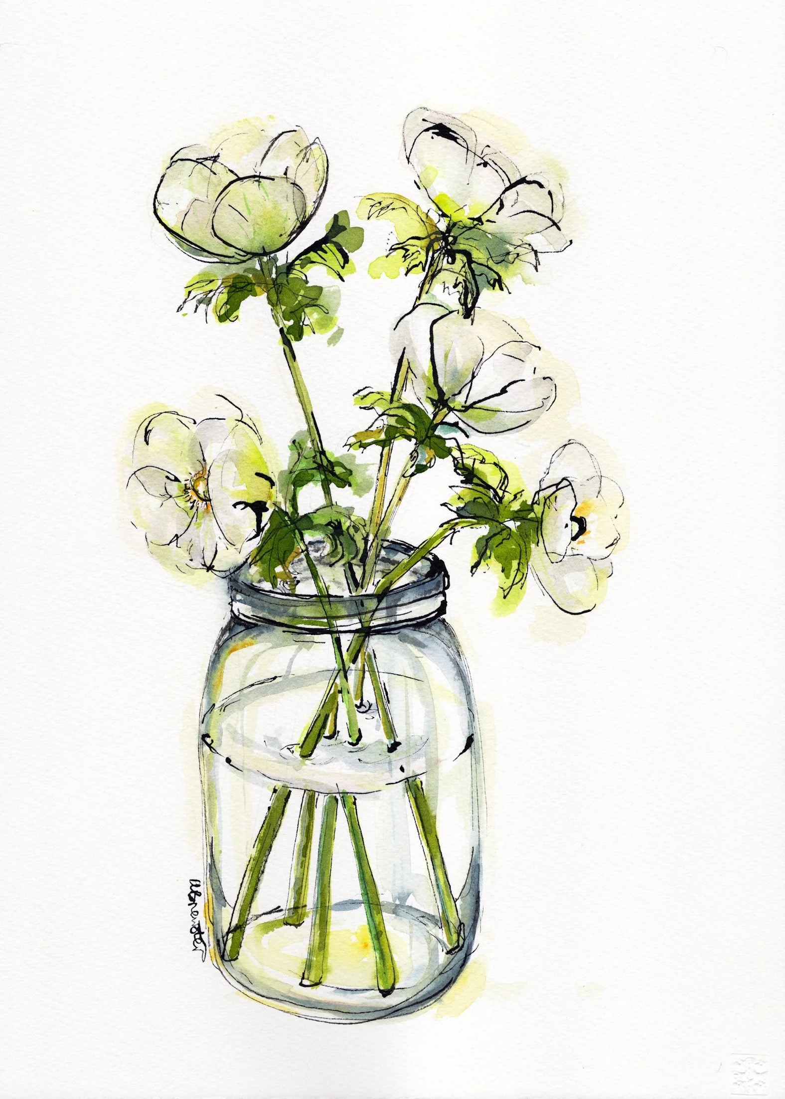 white anemones - SOLD
