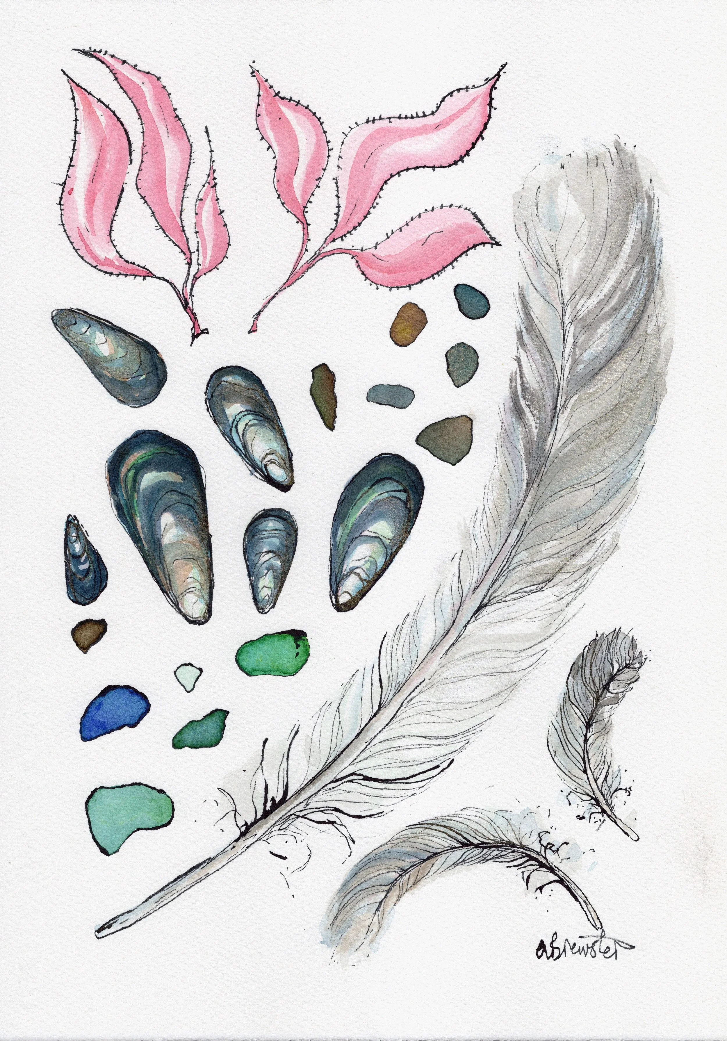 web versions-14403725.JPG