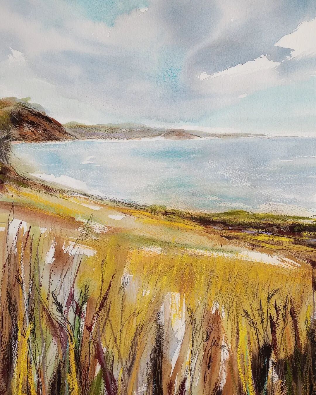 I call this field 'my' field 'cos when I sit on the beach in Sidmouth and paint at sunset, this field is the last one on a headland to the west and it always catches that golden light.

So we went to find it, with gin and tonic in our rucksacks, a co