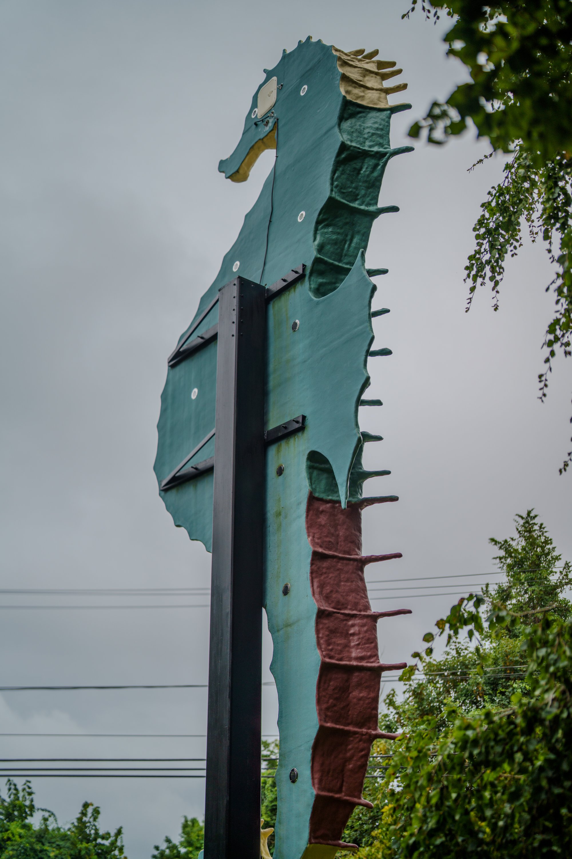 20260817-DSC00022.jpg