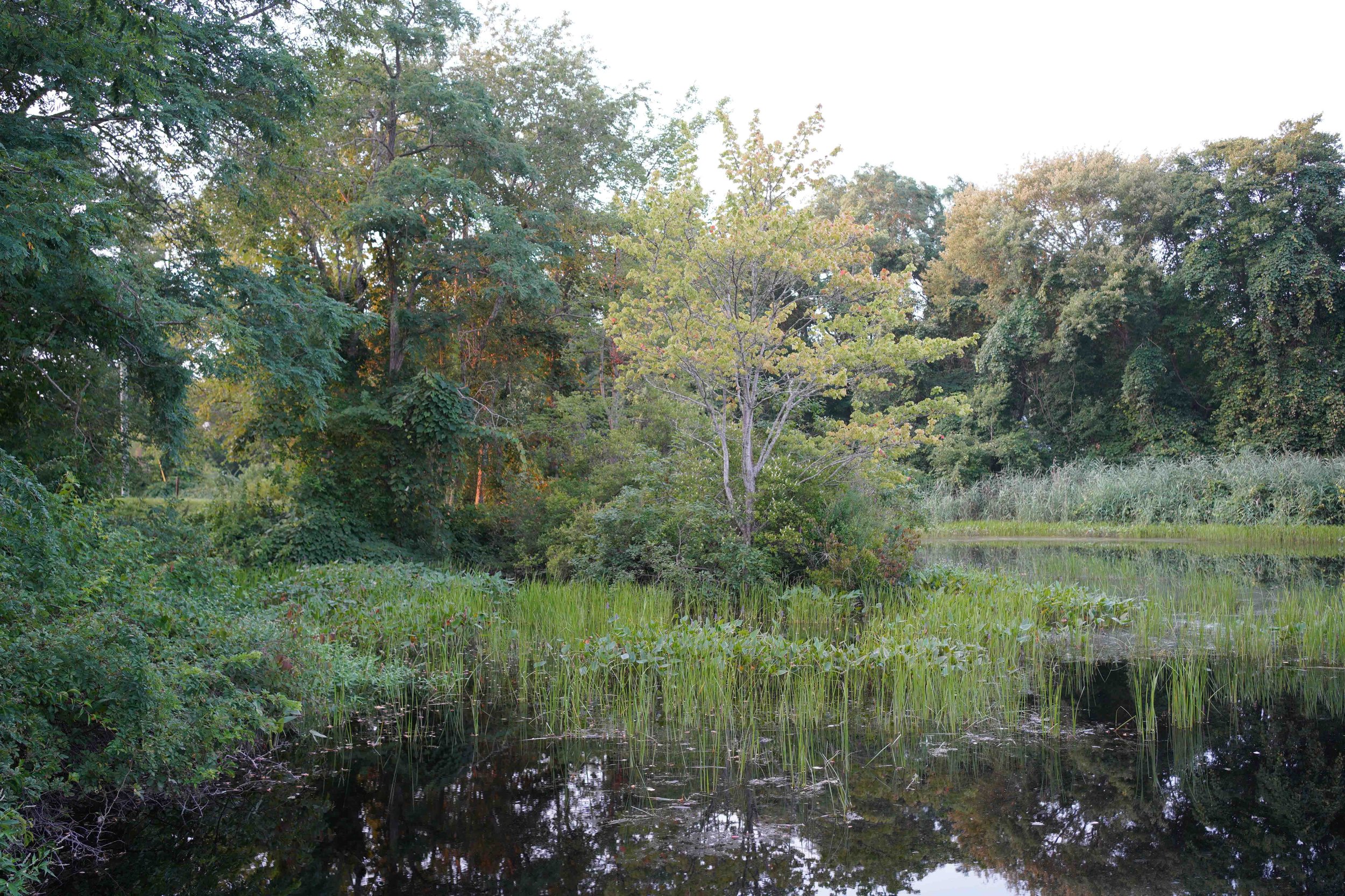 20260811-ALY04887.jpg