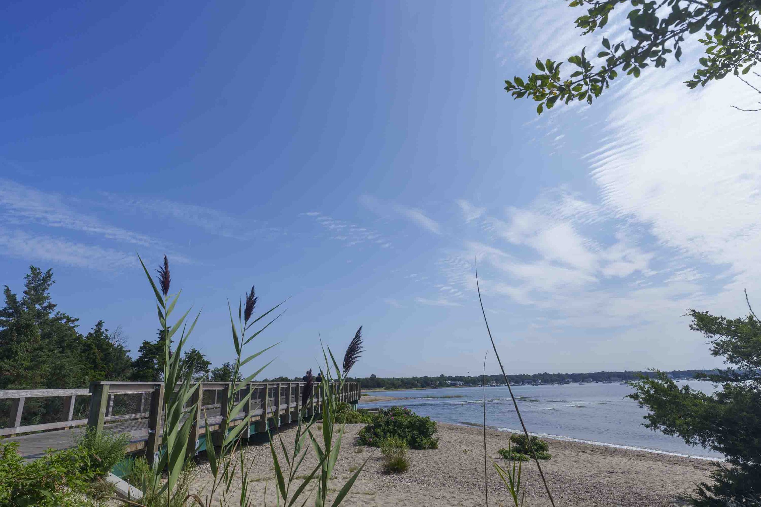 Dad's second-to-last day-of-summer before resuming life as a teacher again.  Fortunately, we live in Mattapoisett.  More so, we're fortunate to live only a mile away from the beach.  Meaning, it always kind of feels like we're on vacation living here