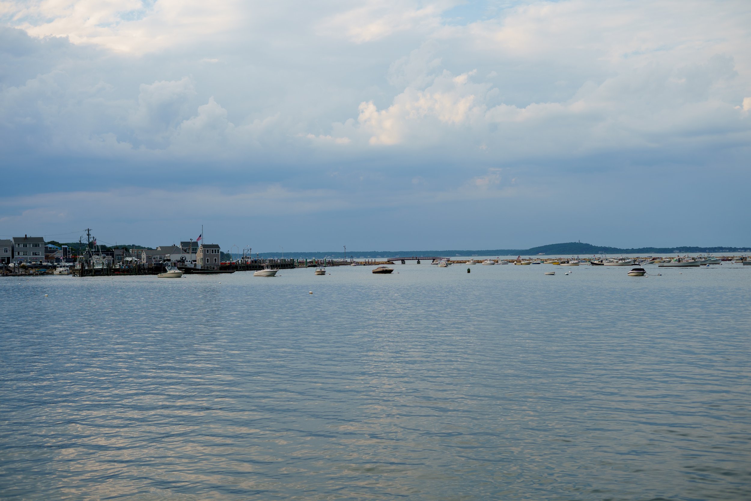 20260820-ALY05210.jpg