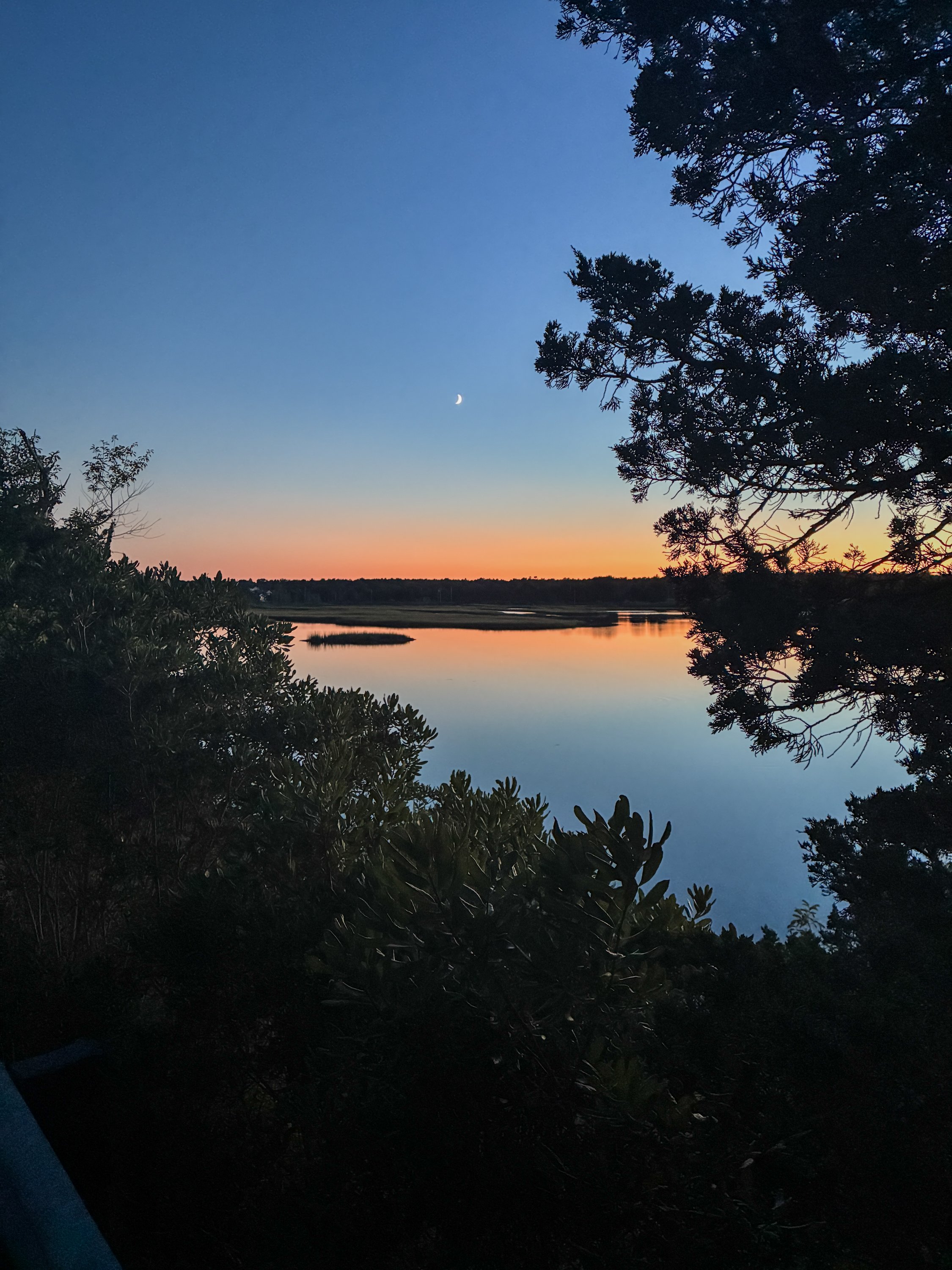 Bud's view on his evening run