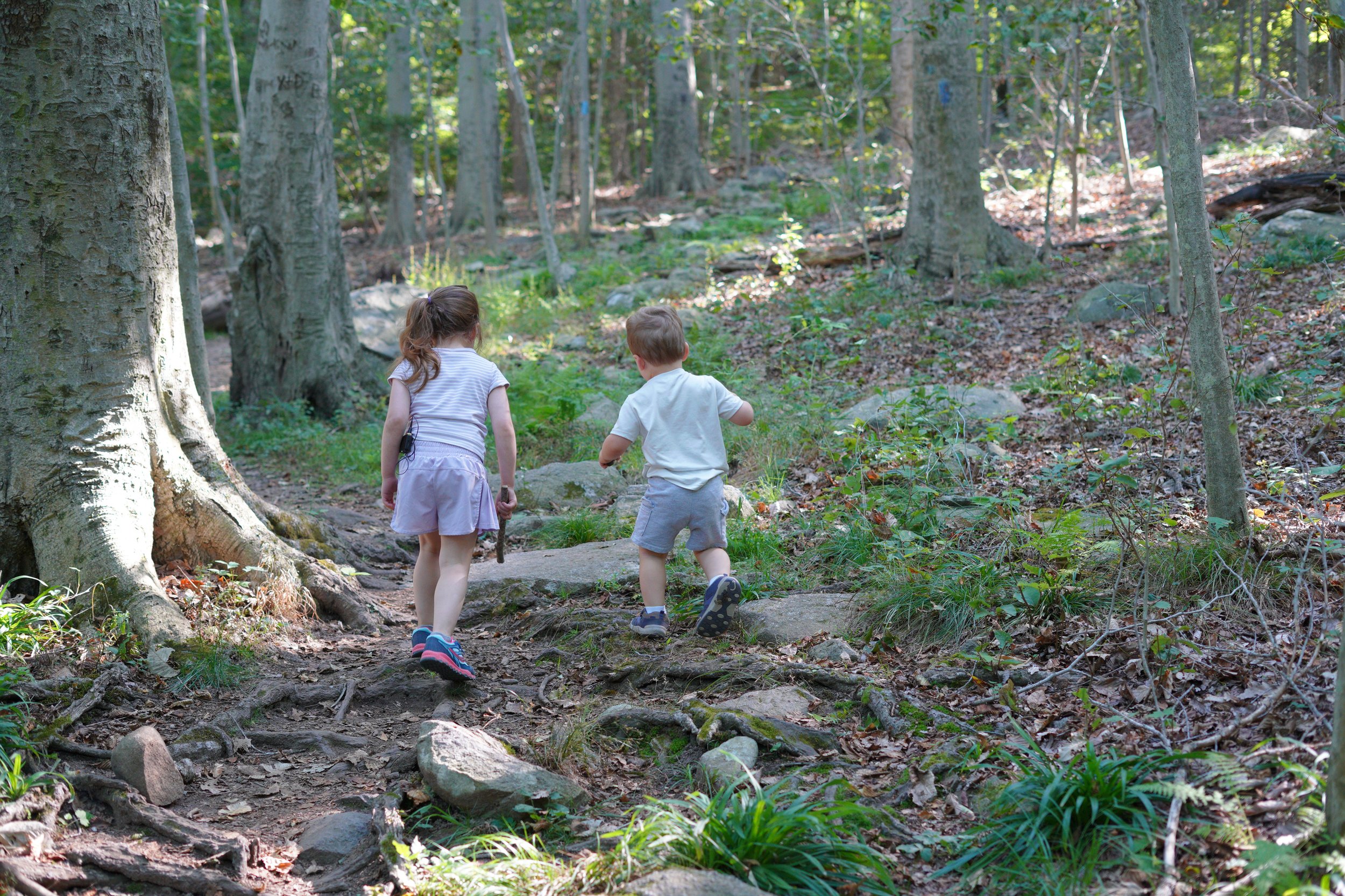 Blue Hills hike