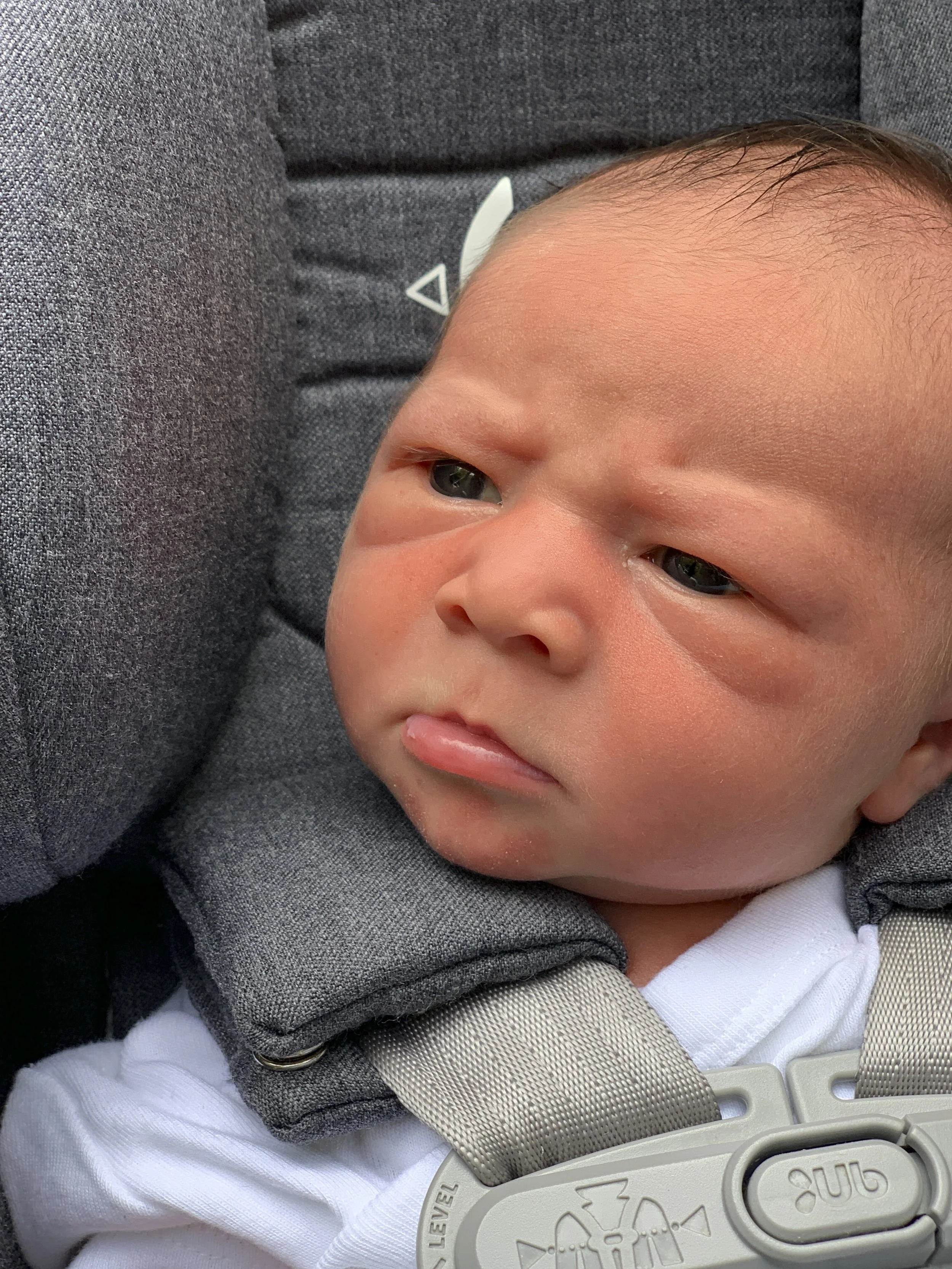 Getting ready to drive home from Pop Pop and Nana's house, 8/14, cell phone picture