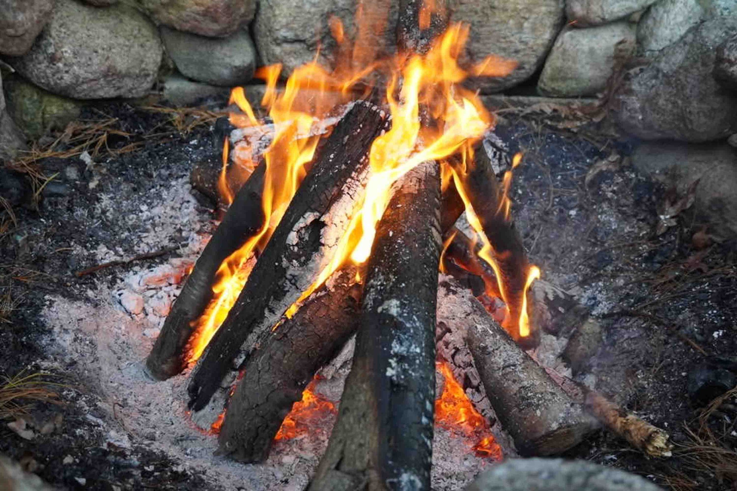 August 17-25-123.jpg