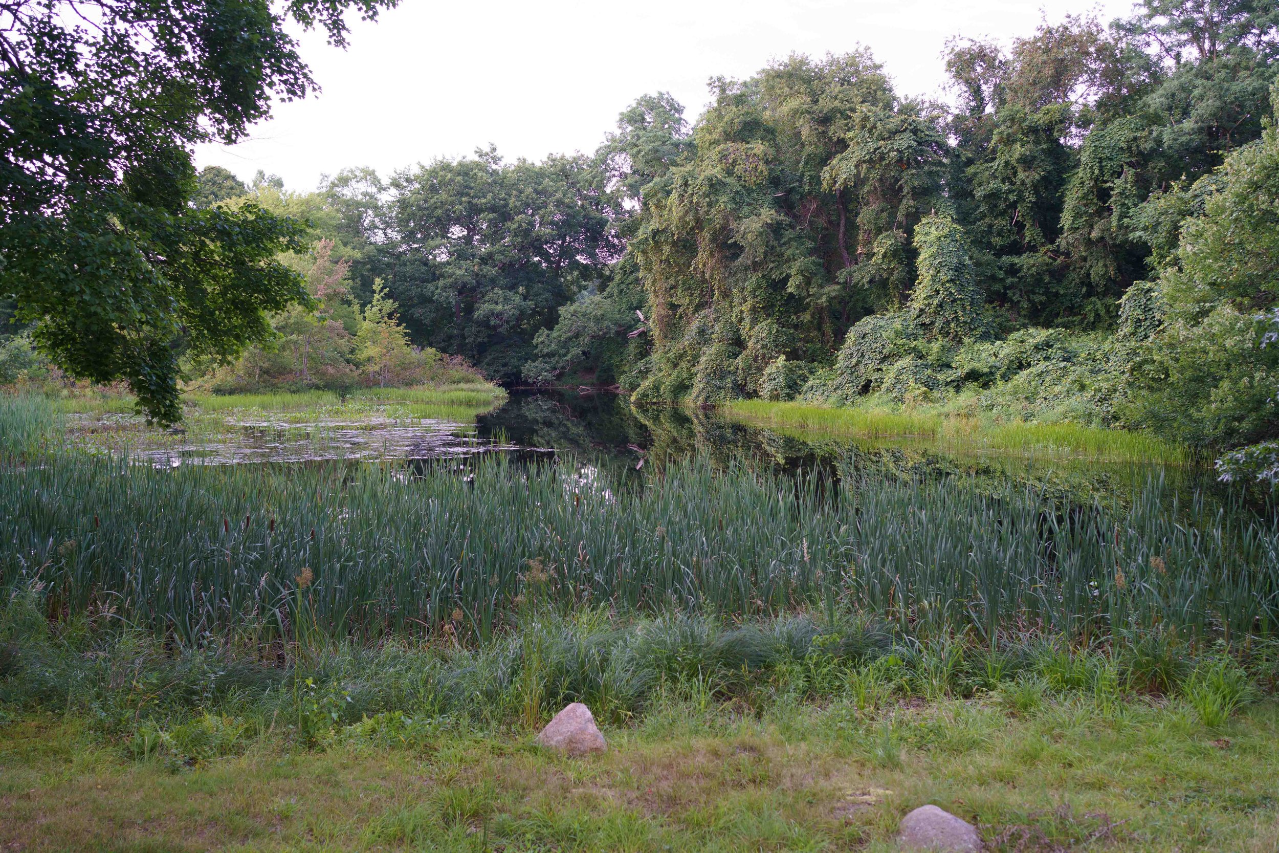 20260811-ALY04908.jpg