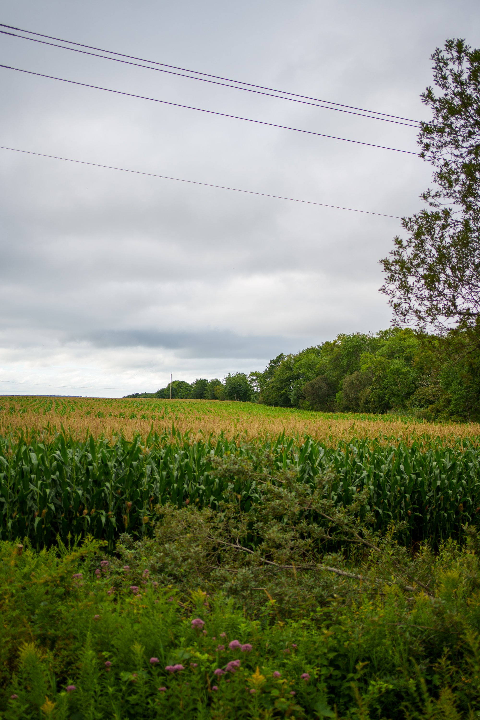 20260818-DSC01658.jpg