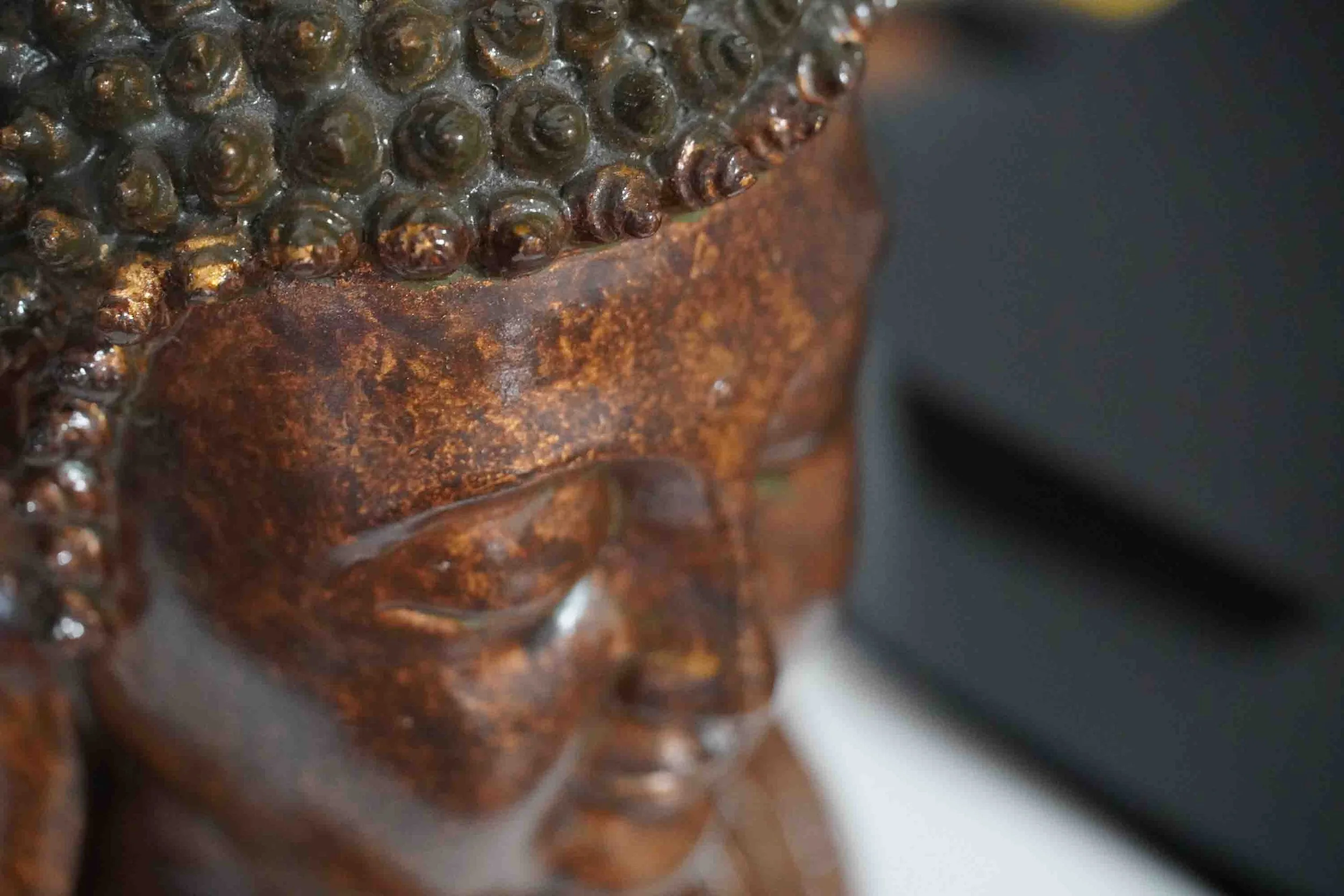 August 17-25-129.jpg