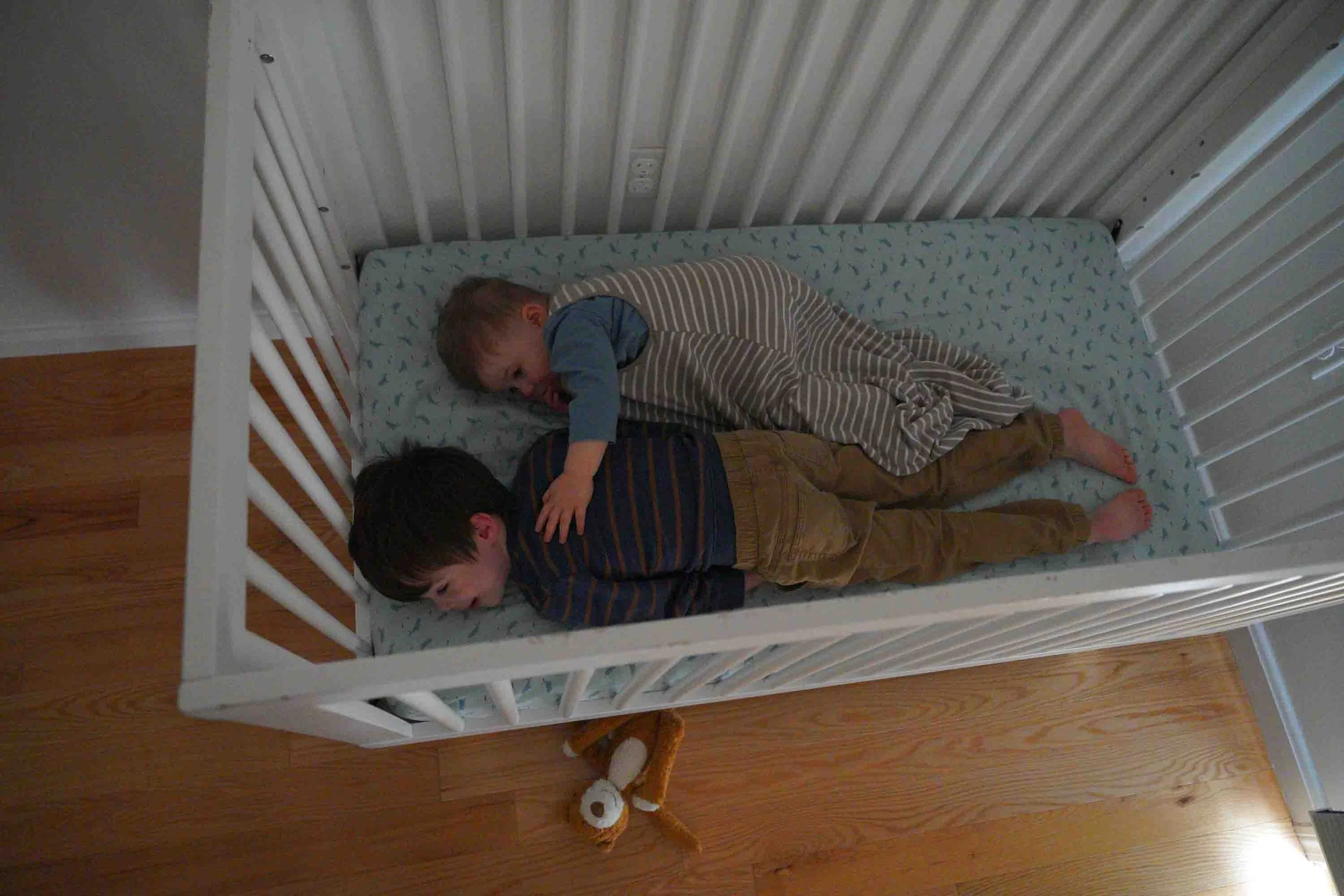 River climbed in and said "I will be Jack's teddy!"