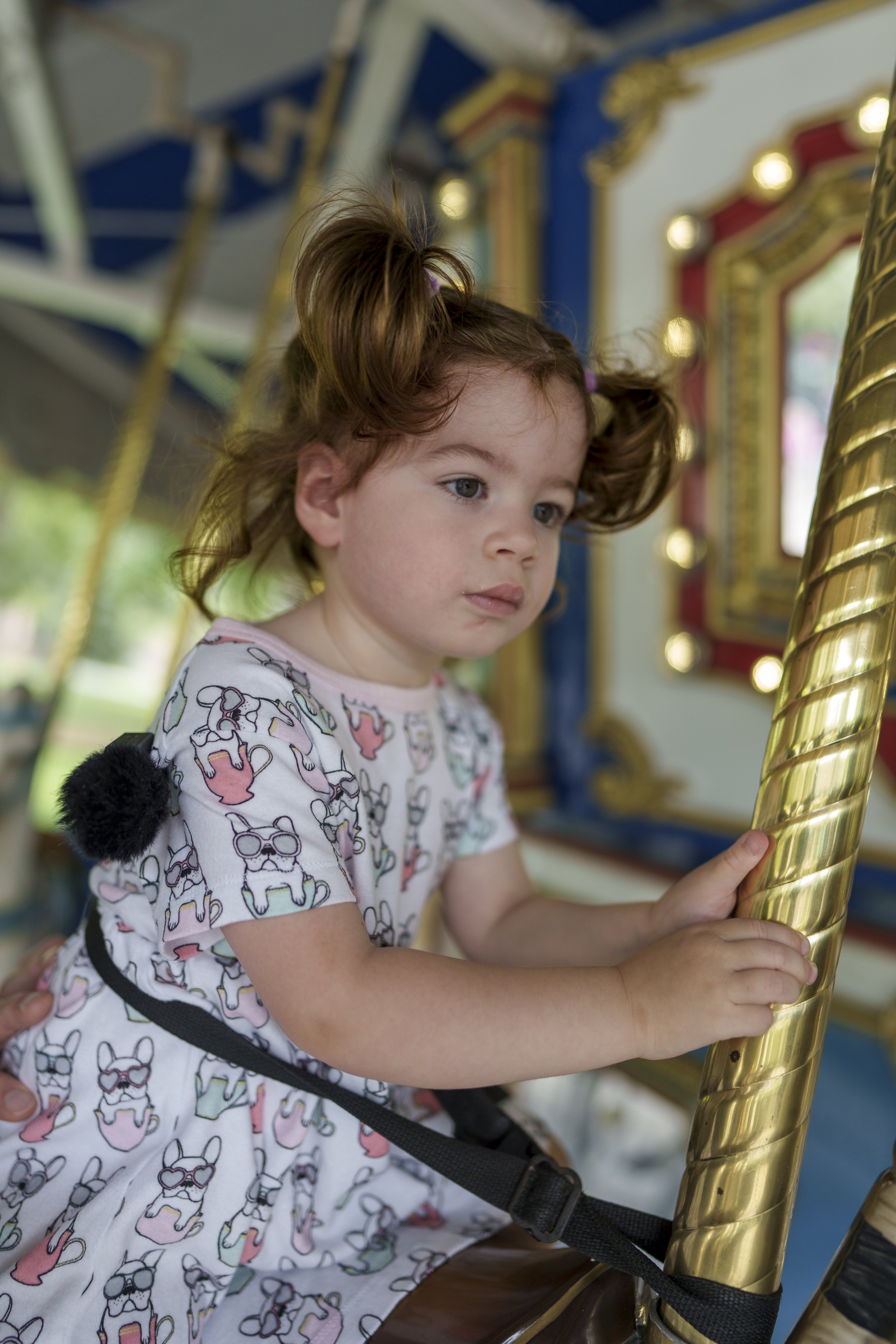 Eleanor on the carousel at Buttonwood Park Zoo in New Bedford, 8/16