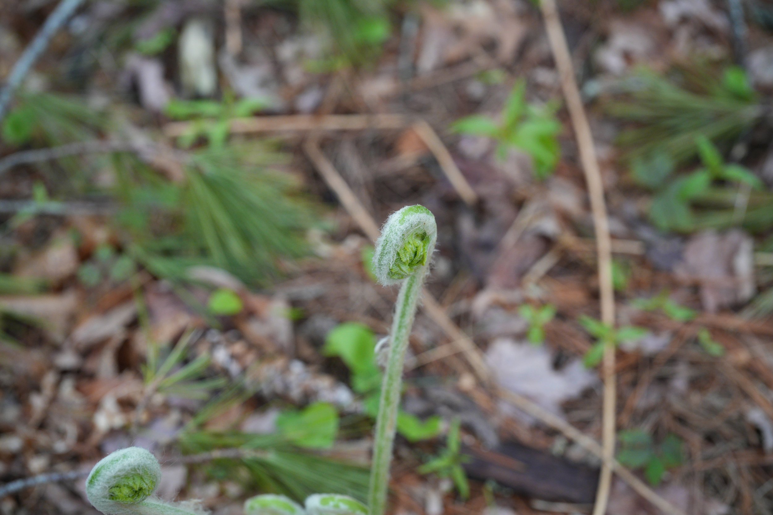 20260510-DSC08632.jpg