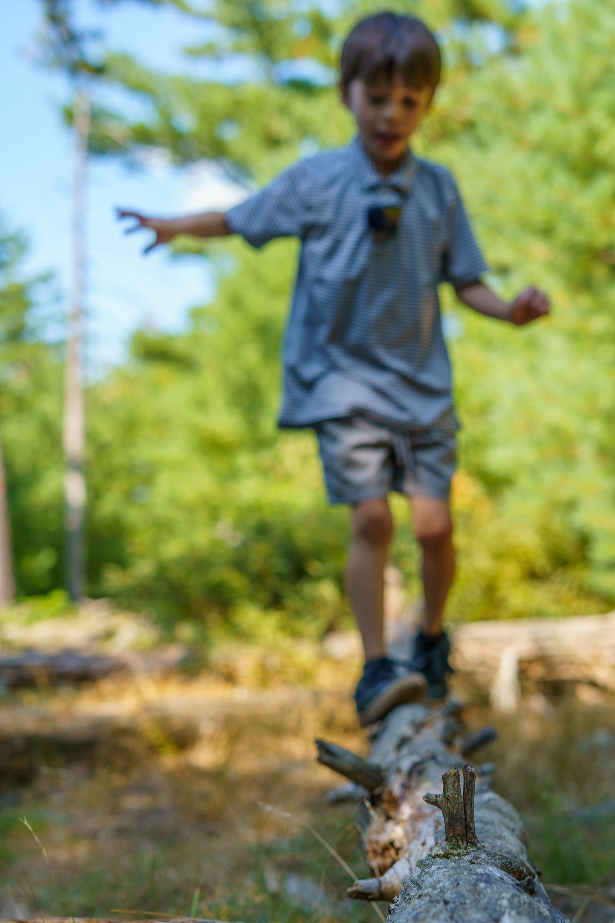 20260829-ALY05551.jpg