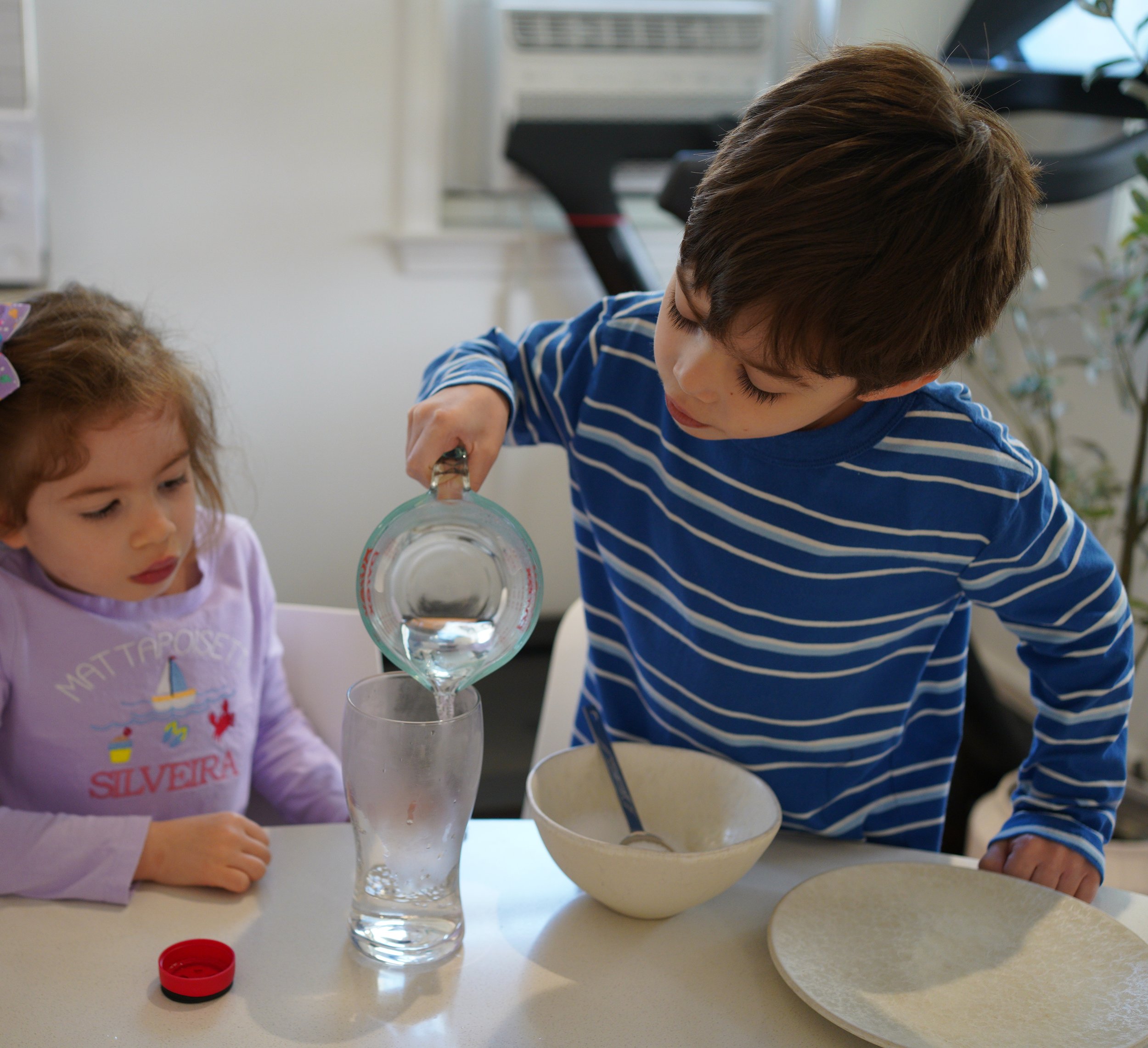 Making alum crystals