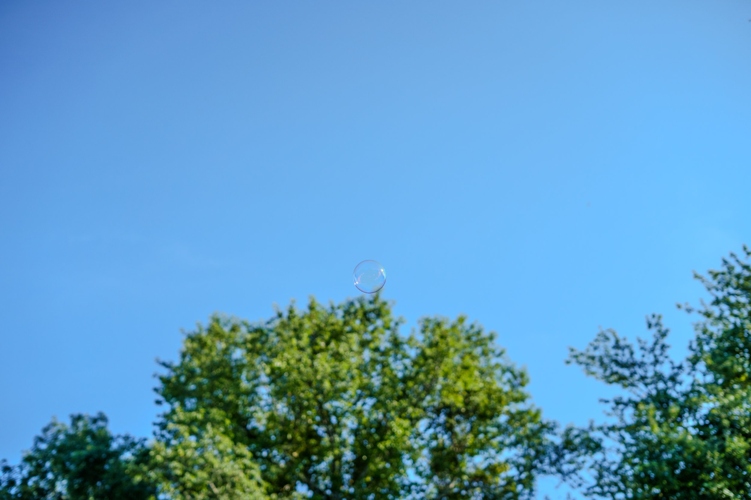 20260823-ALY05325.jpg