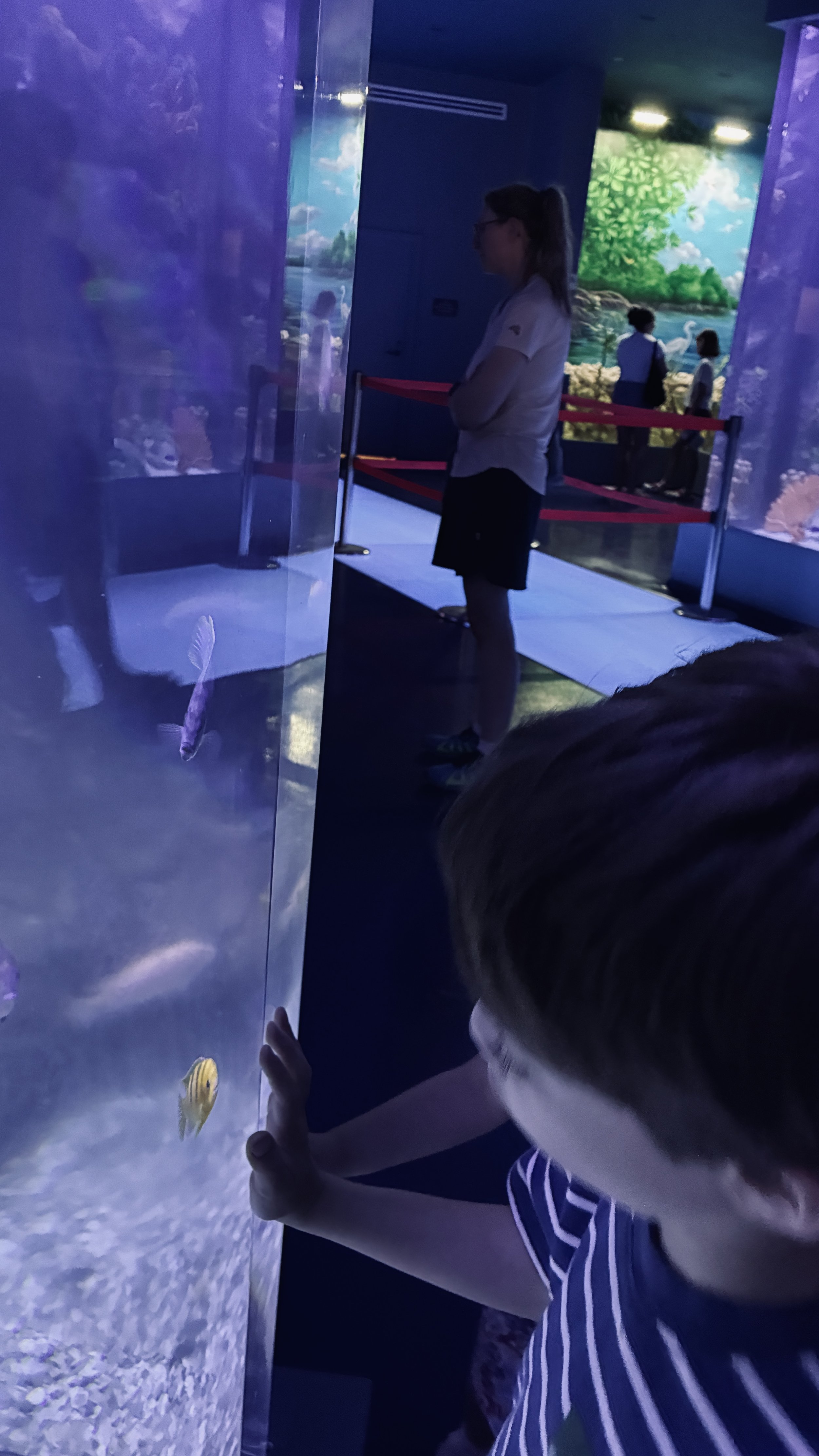 Aquarium in the Berkshire Museum