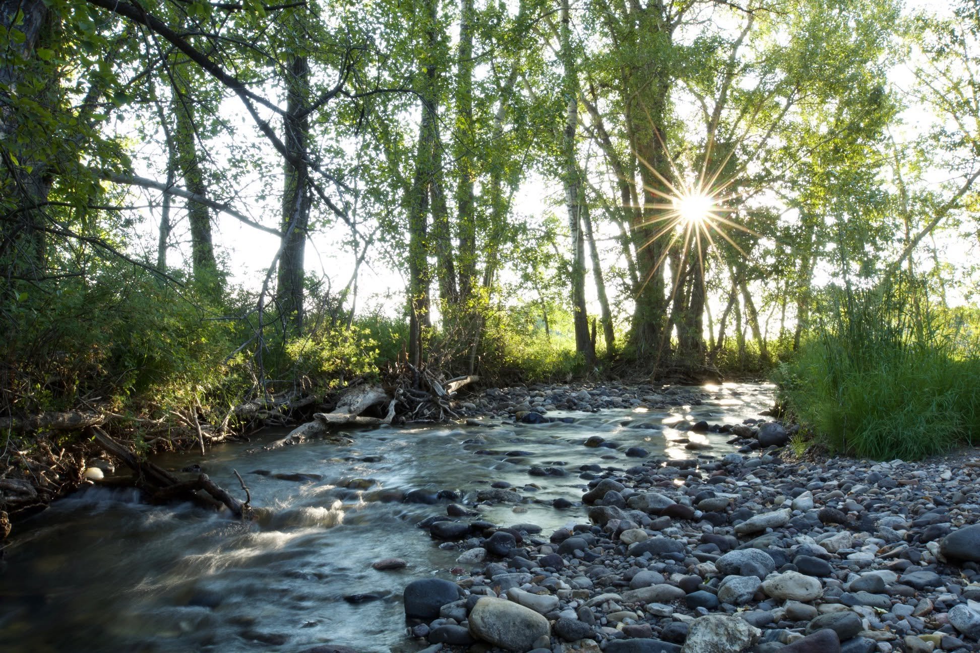 A creek on the property