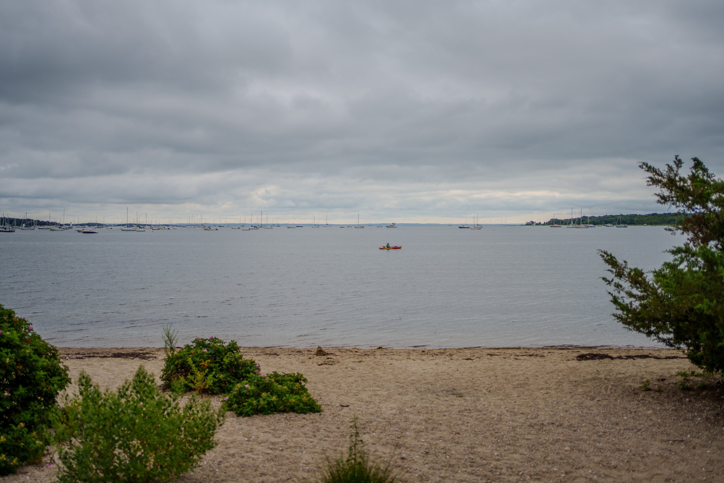20260818-DSC01681.jpg