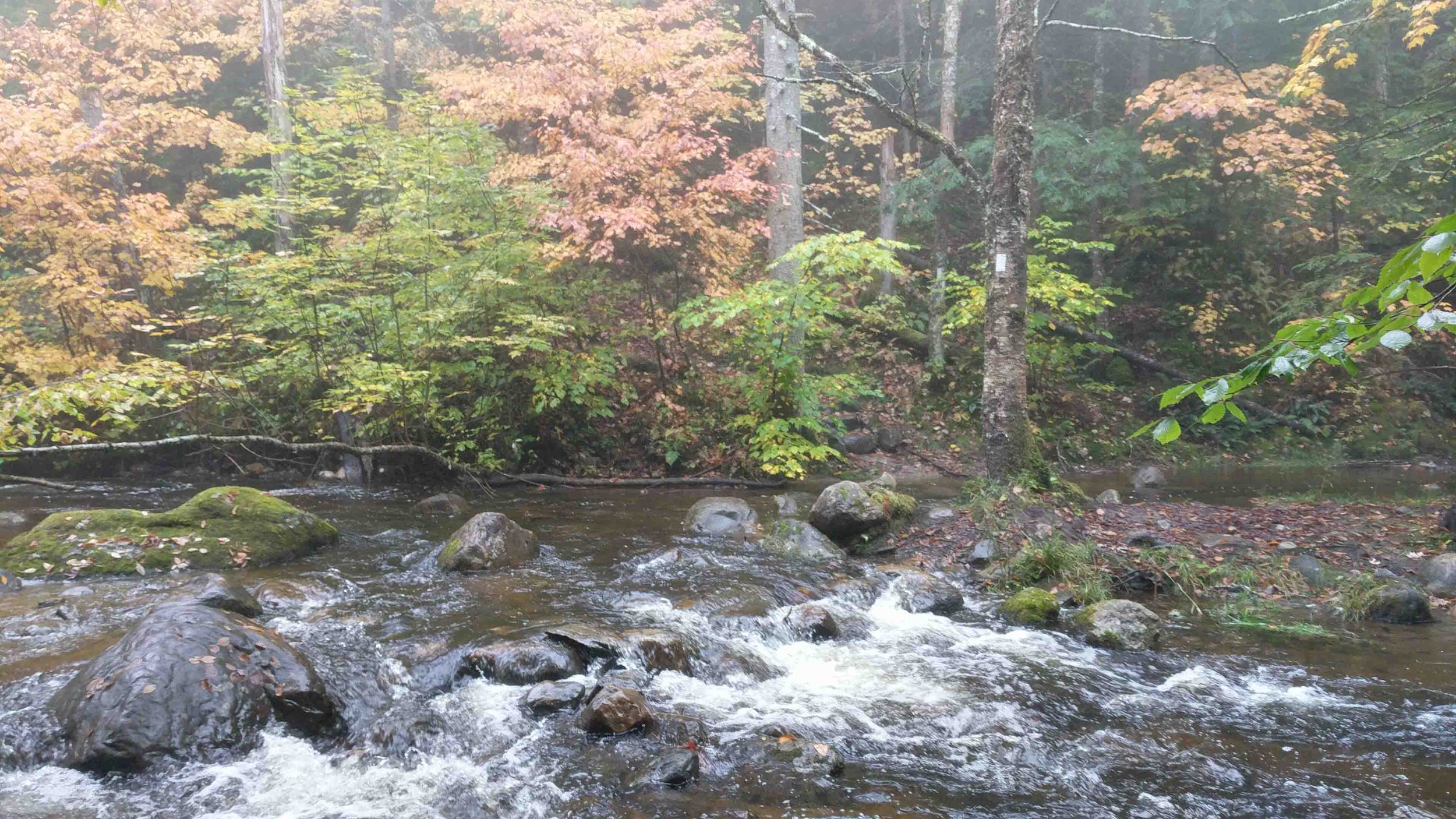 IMG_20181007_145332.jpg