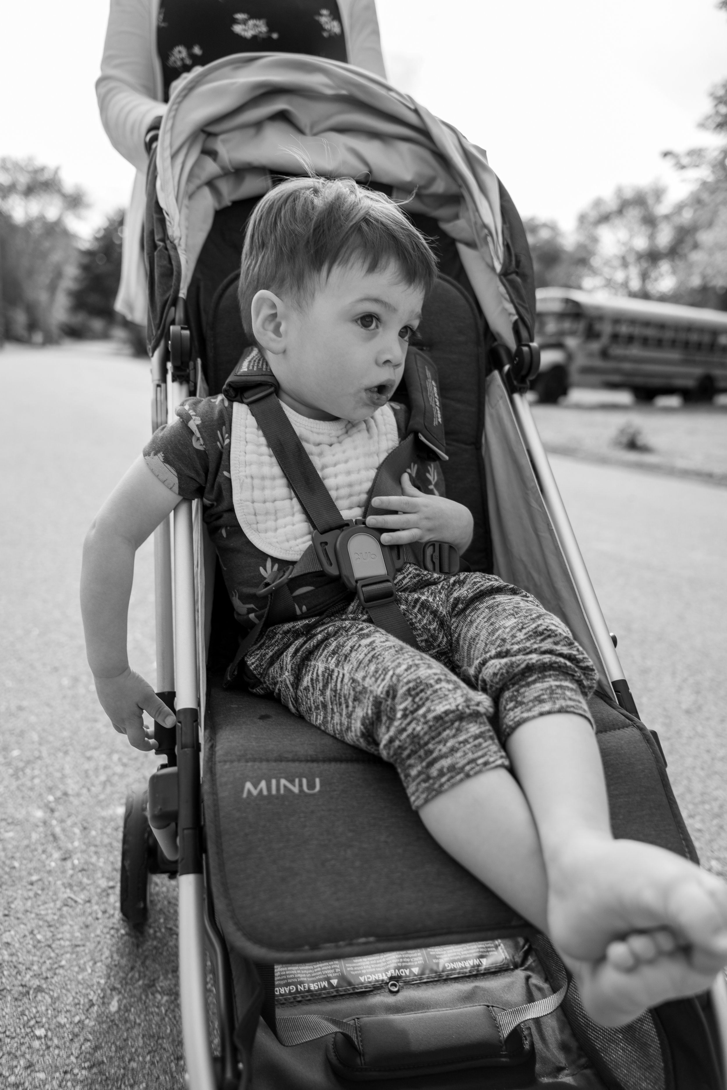 ALY09601.jpg