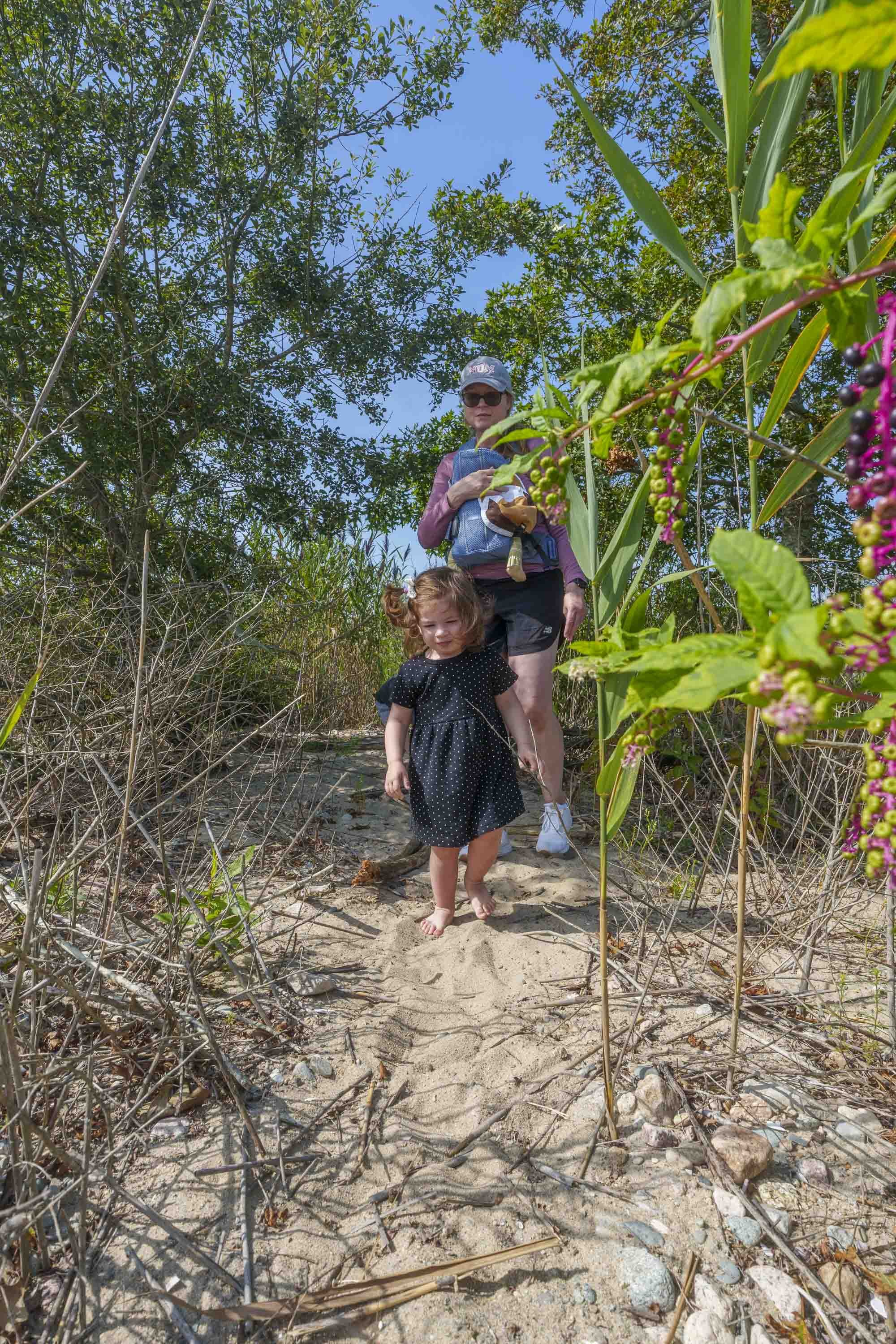 Dad's second-to-last day-of-summer before resuming life as a teacher again.  Fortunately, we live in Mattapoisett.  More so, we're fortunate to live only a mile away from the beach.  Meaning, it always kind of feels like we're on vacation living here