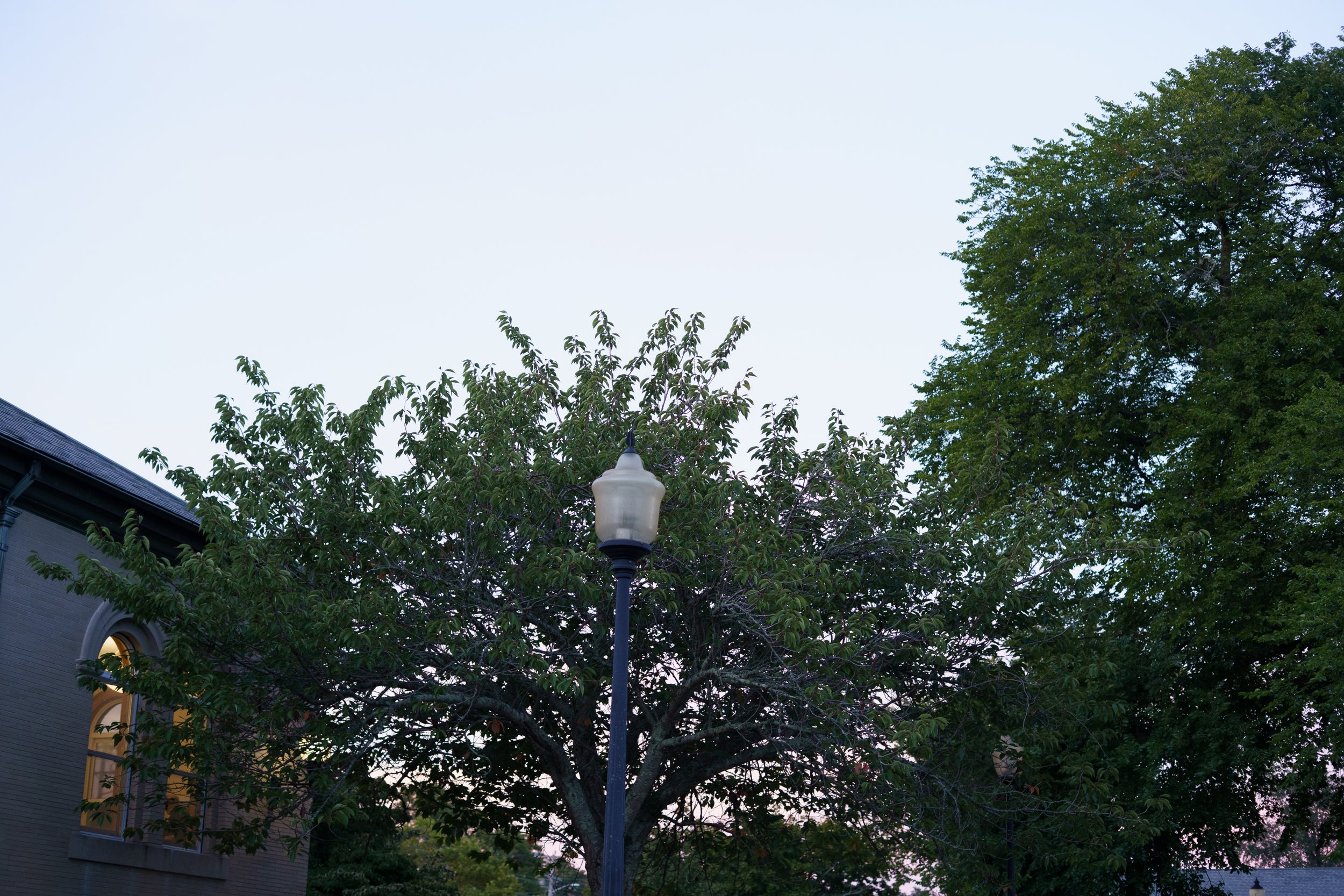 20260819-ALY05100.jpg