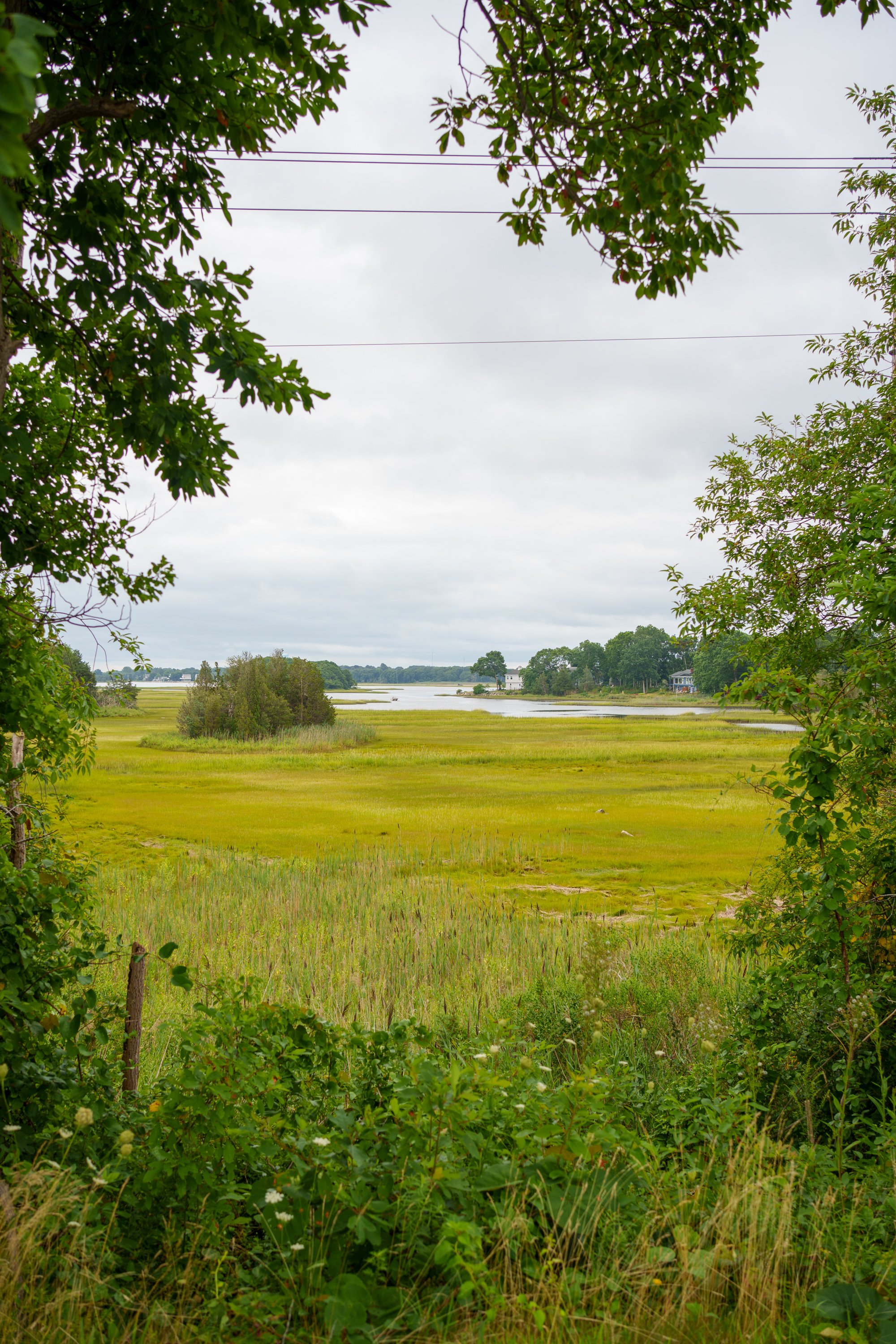20260818-DSC01672.jpg