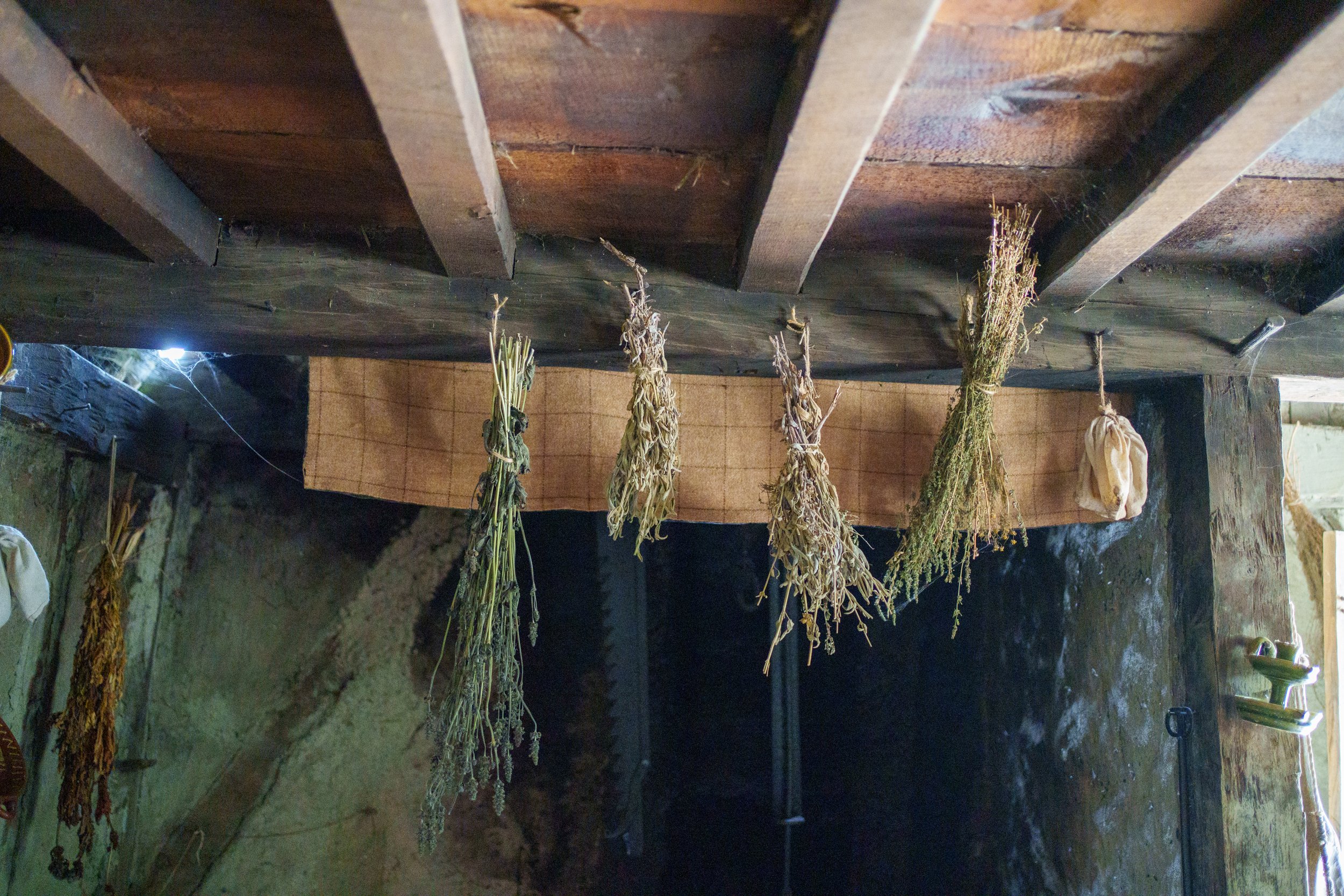 20260820-DSC01720.jpg
