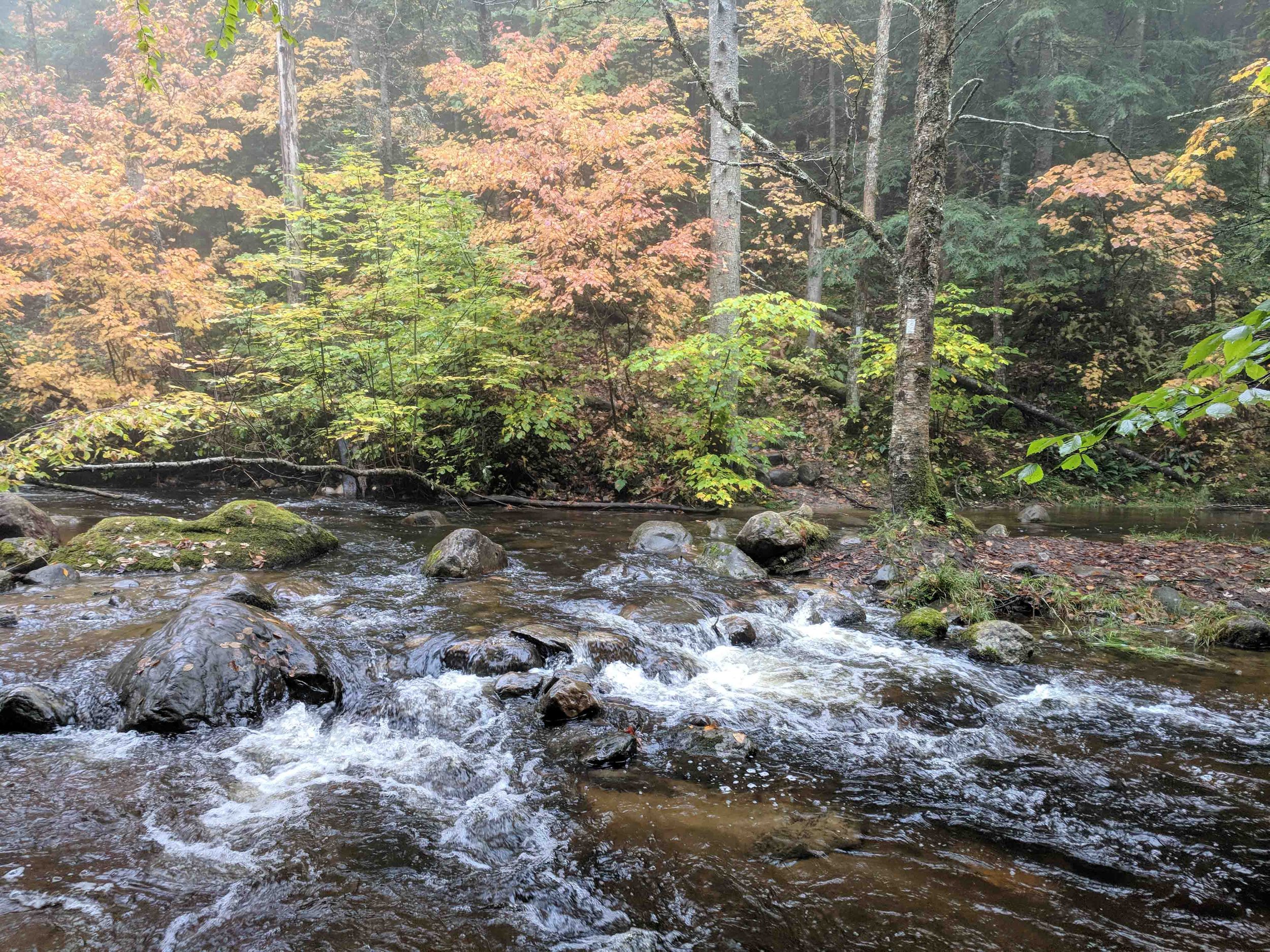 IMG_20181007_145539.jpg