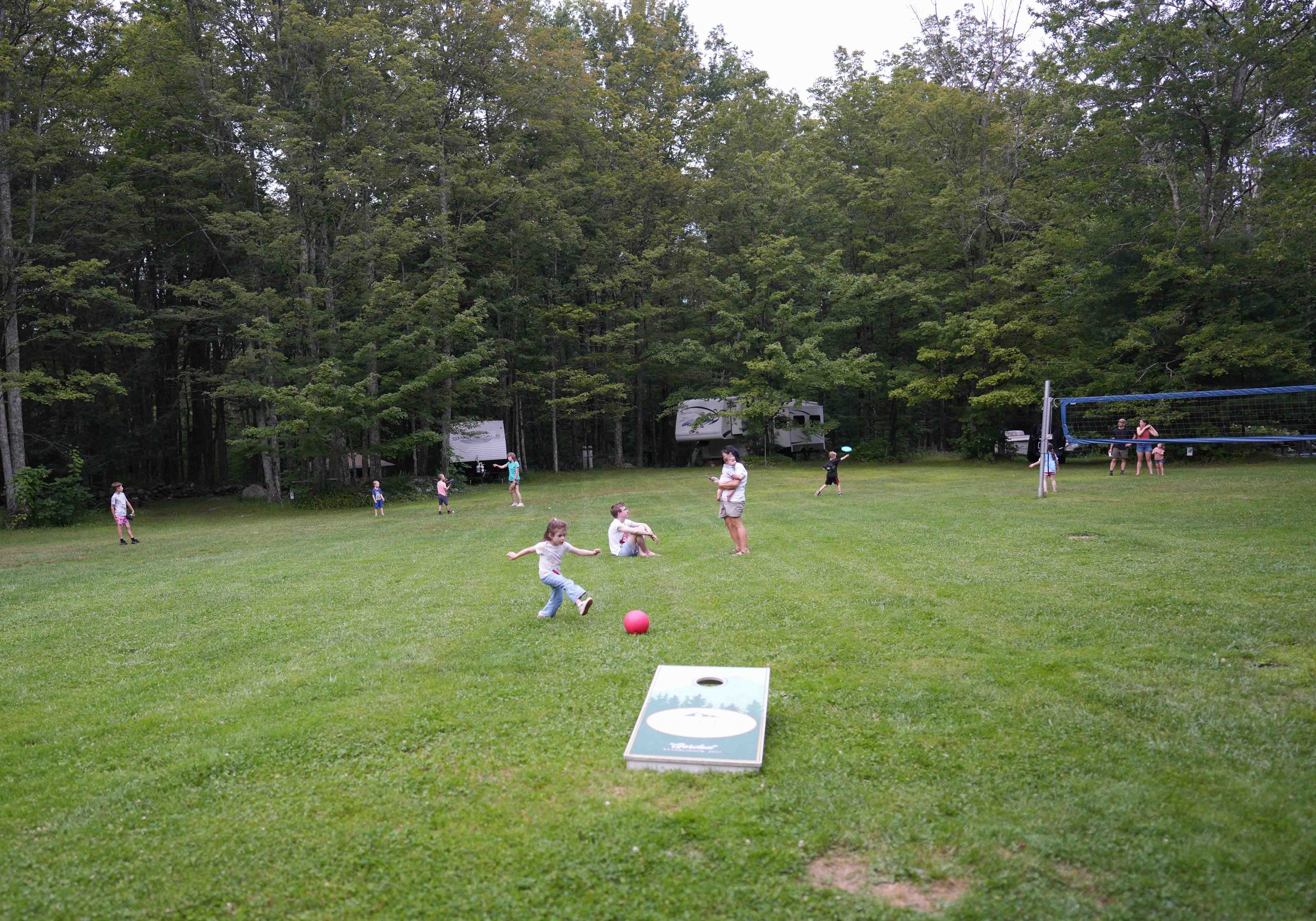20260801-DSC01020.jpg