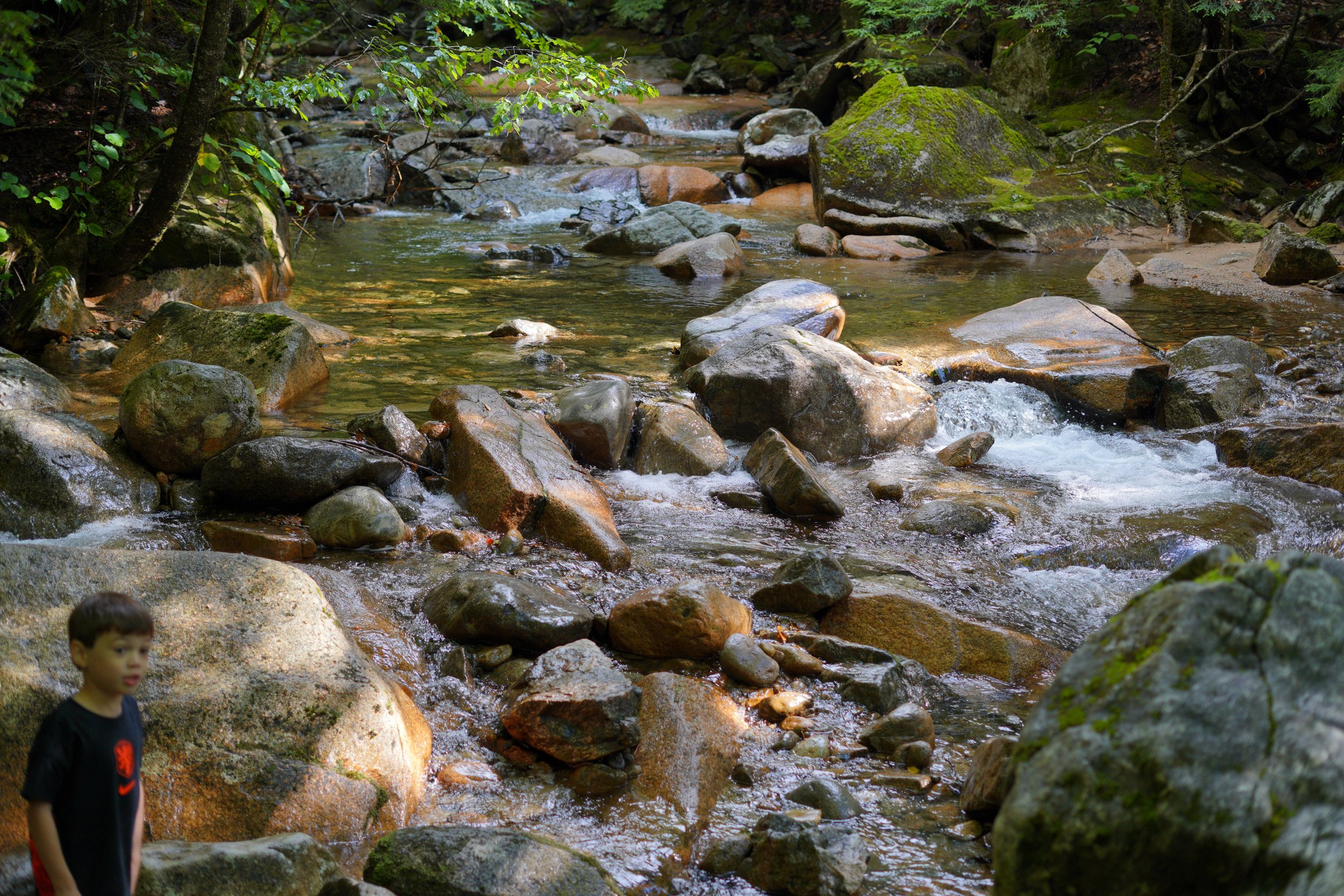 20260906-ALY05658.jpg