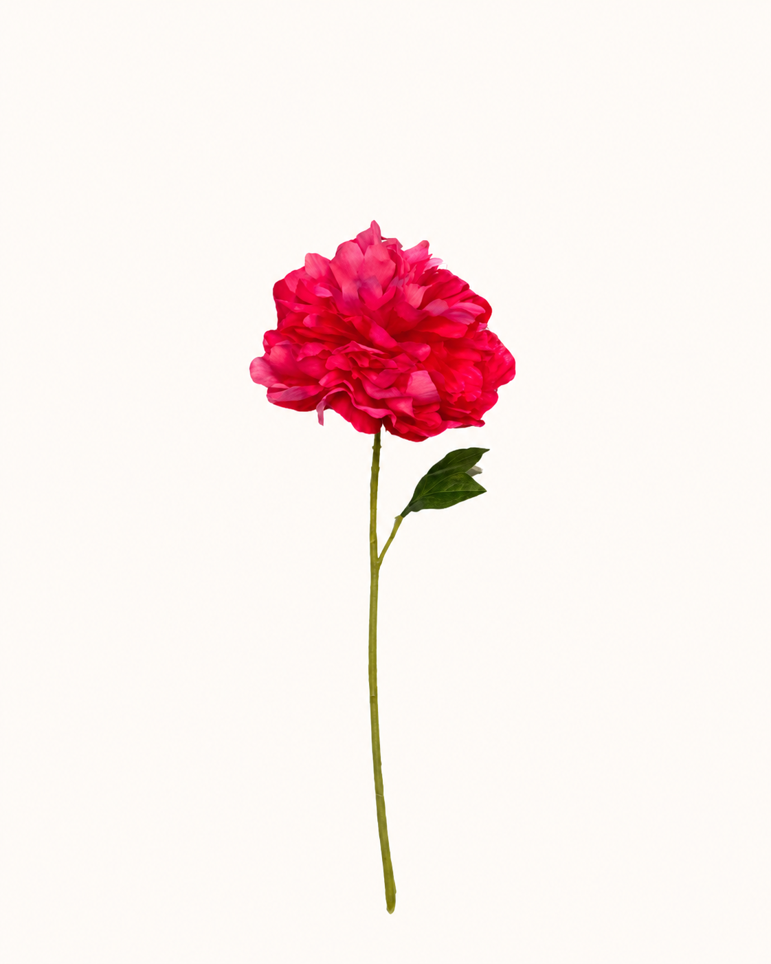 Minimalistische pinke Blume auf hellem Hintergrund.png